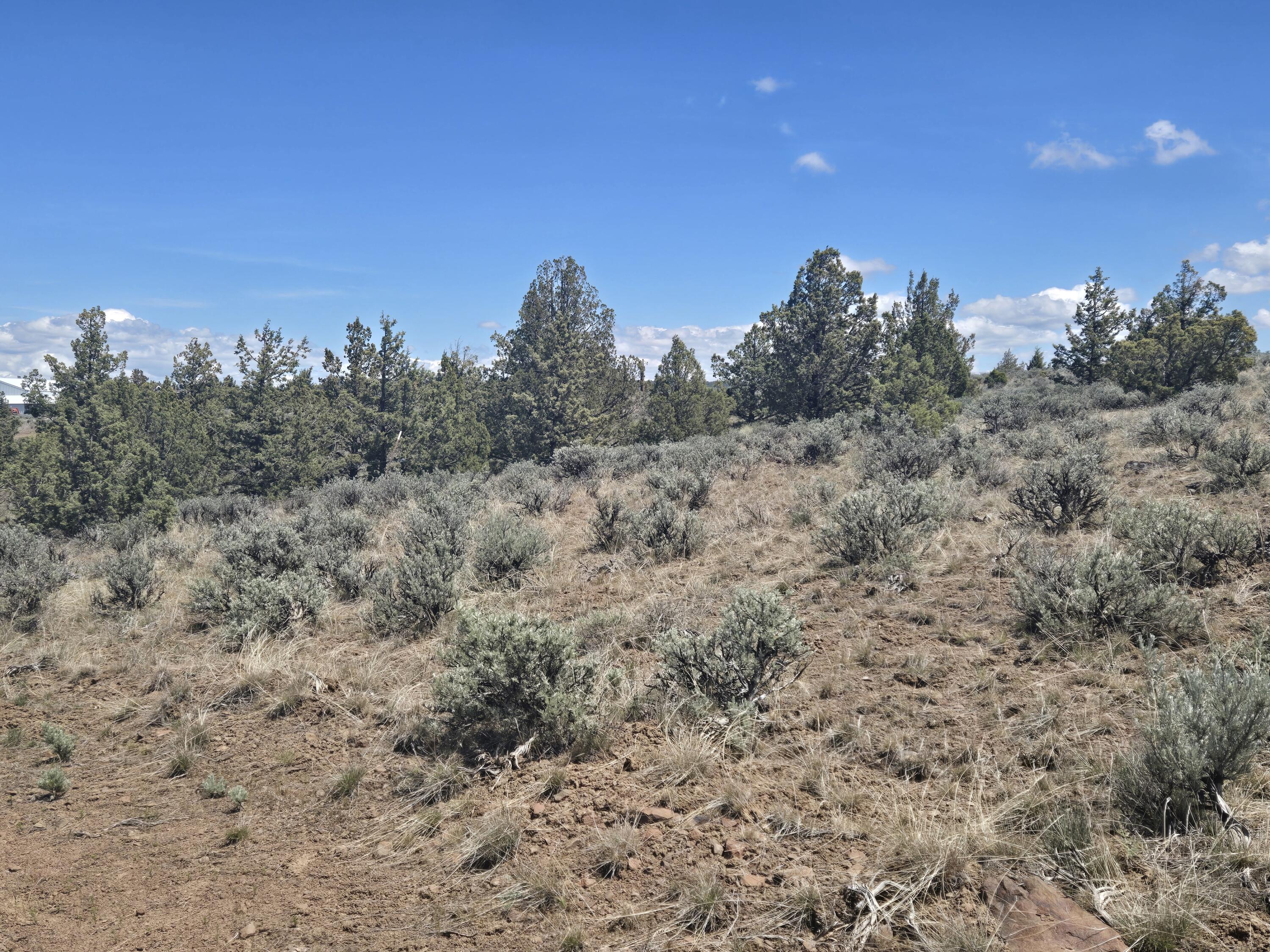 Ochoco Land + Livest - Land