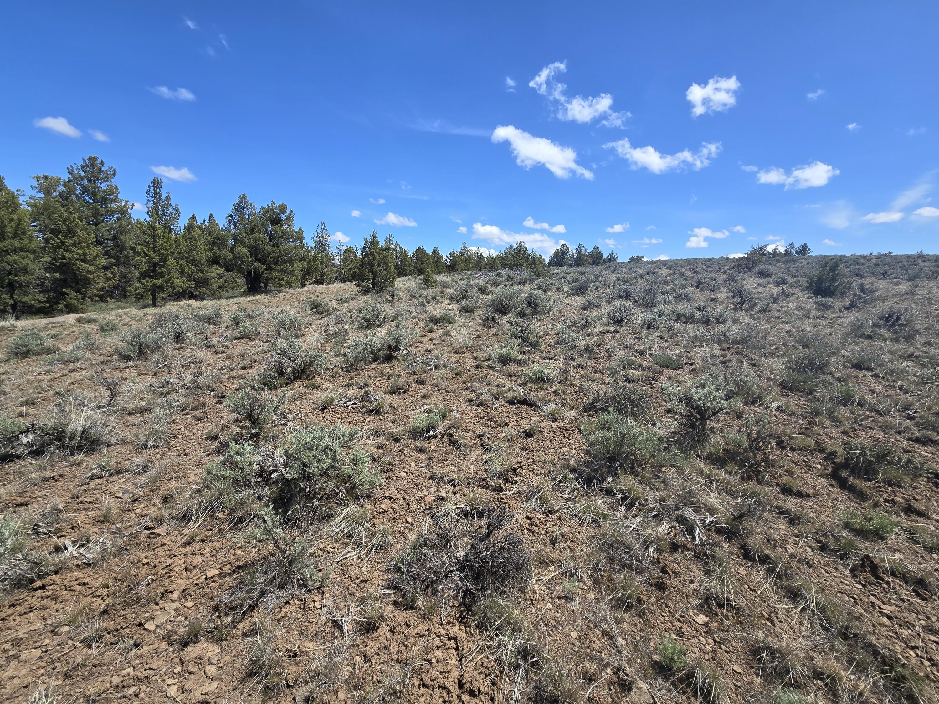 Ochoco Land + Livest - Land