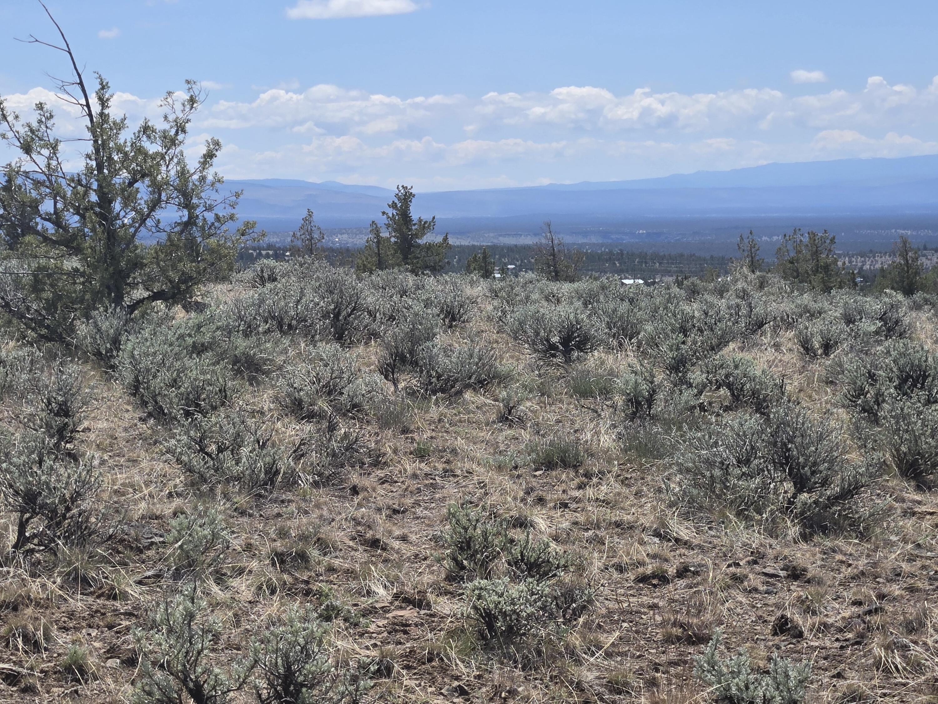 Ochoco Land + Livest - Land