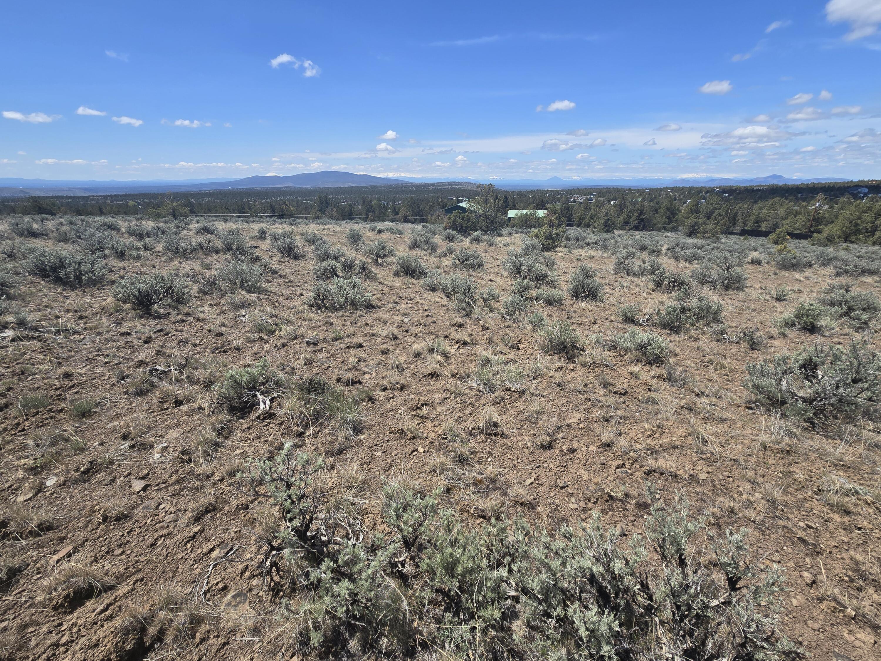 Ochoco Land + Livest - Land