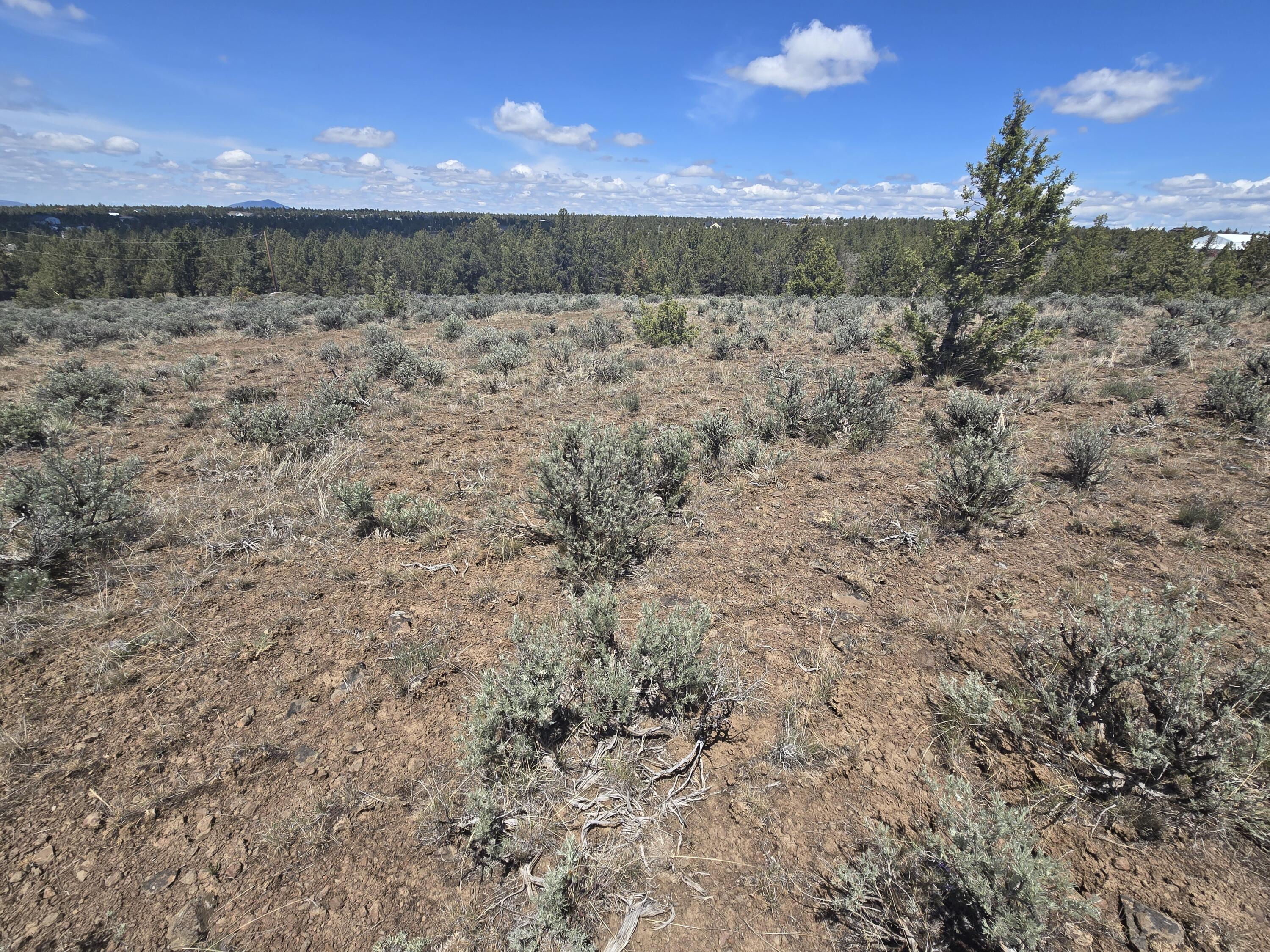 Ochoco Land + Livest - Land