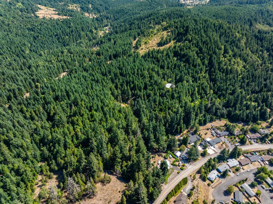 Rare multi-use opportunity in Oakridge, OR. This offering includes multiple tax lots, some within the City of Oakridge Urban Growth Boundary and designated Urban Residential per the latest comprehensive plan—creating potential for future subdivision or development. The timber parcel spans approx. 142 acres and features well-stocked, 35-year-old Douglas-fir. Extensive fuels reduction work has been completed, and a well-maintained internal road system offers excellent access throughout. A versatile property that combines development potential, timber value, and long-term investment upside.

Don't miss your chance to secure a rare, well-managed tract with multiple paths for growth—schedule your showing today!