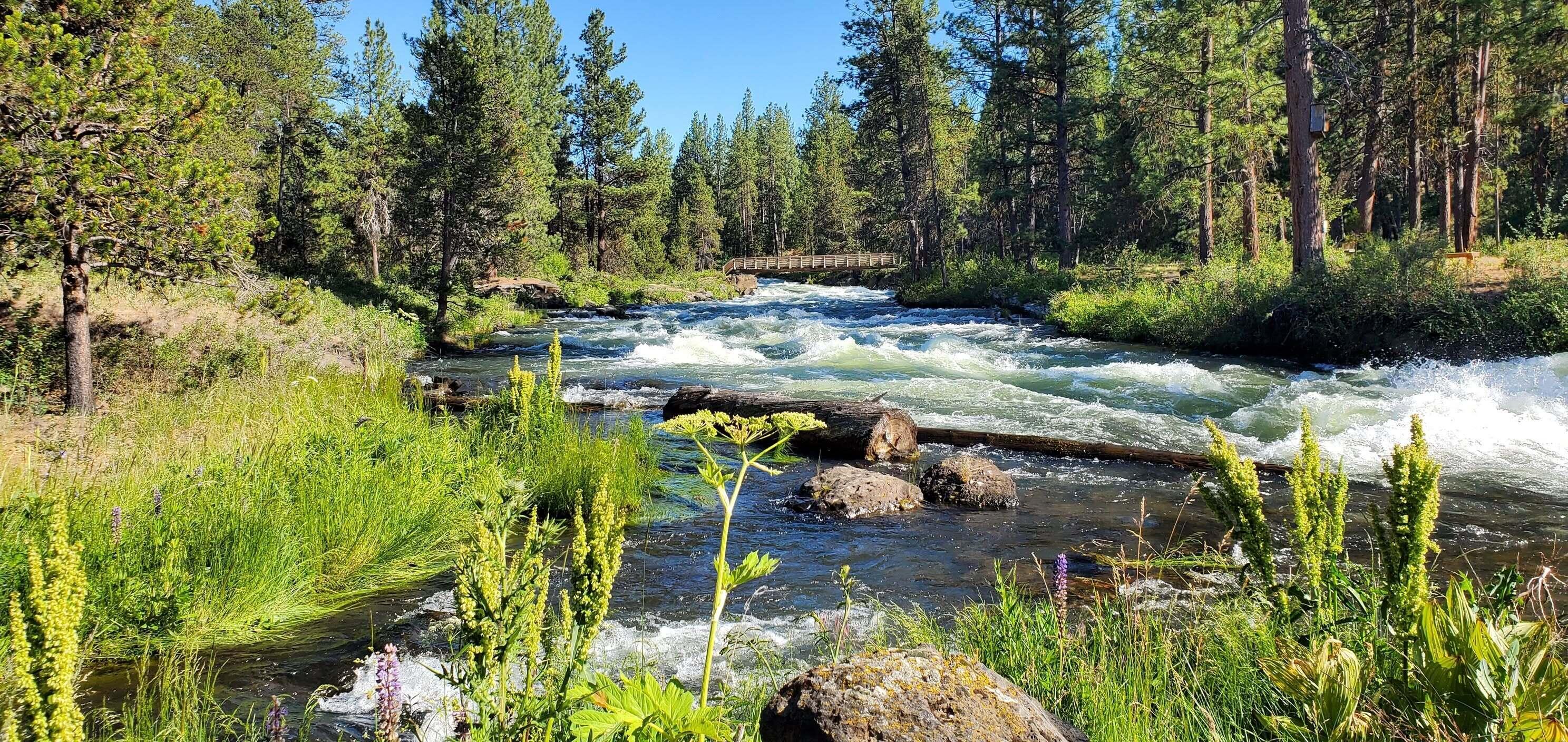 Wild River - Residential