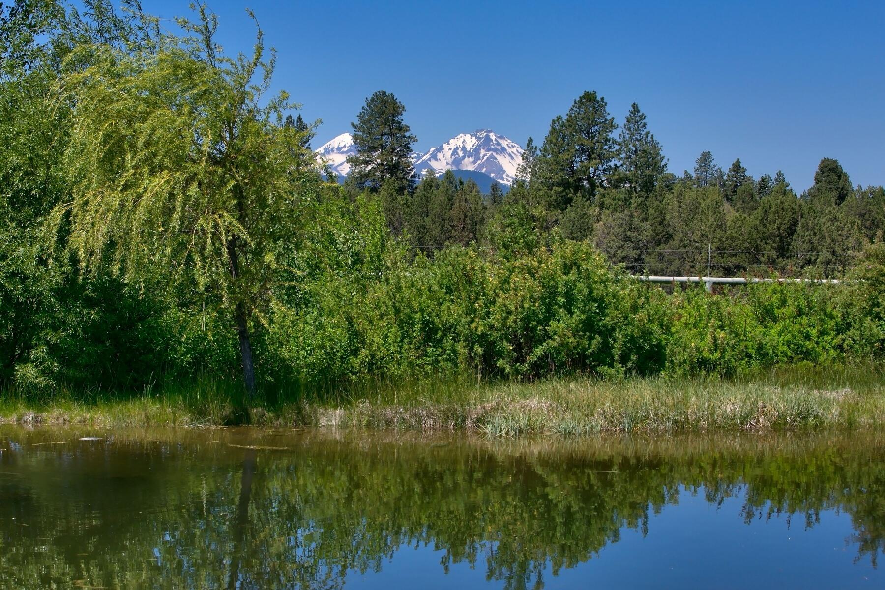 Bear Springs Acres - Residential