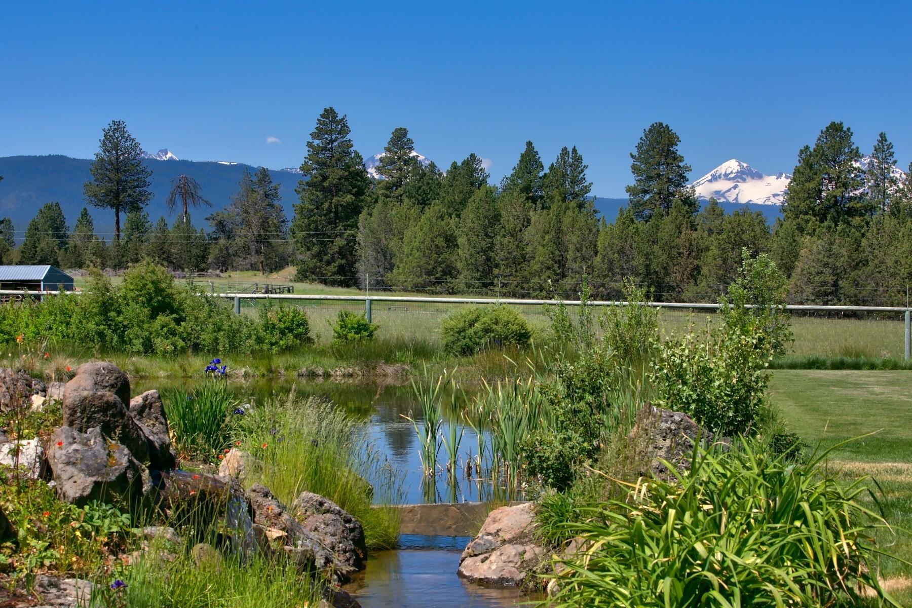 Bear Springs Acres - Residential