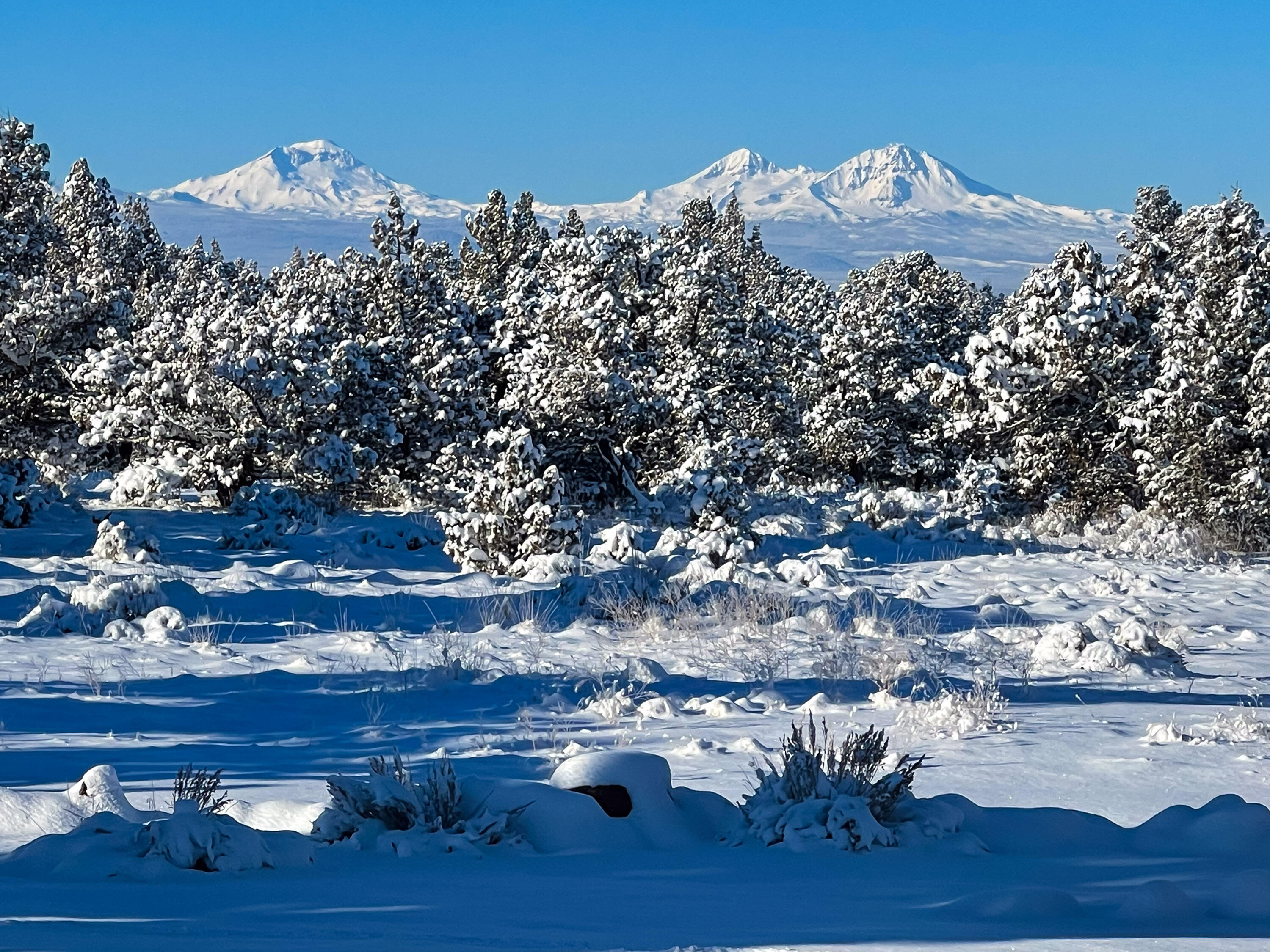 West Powell Butte Es - Residential