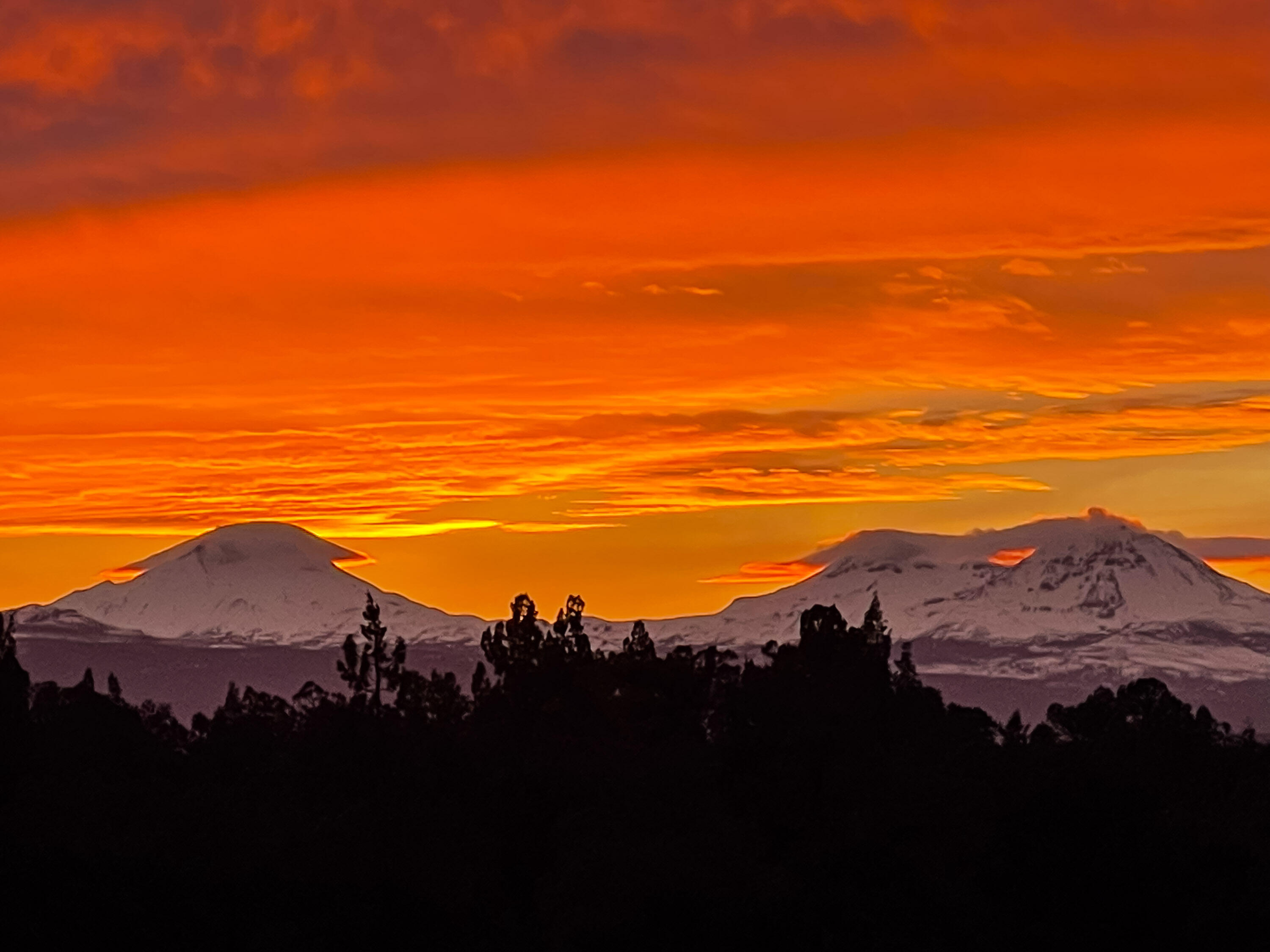18598 SW Mount Adams Loop