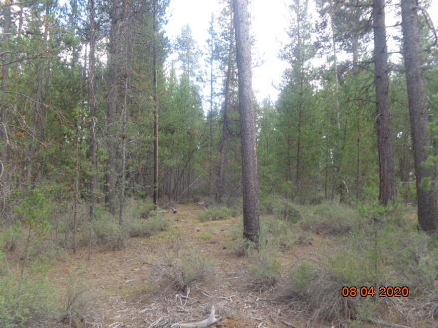1 acre parcel located in DRRH subdivision between 2nd and 3rd. Power at street. A well treed, partially fenced and level parcel that allows new owner to clear trees suitable for
their personal house site while providing plenty of future fire wood. Buyer and Buyer's agency to perform all due diligence with the Deschutes County for home
and land development.