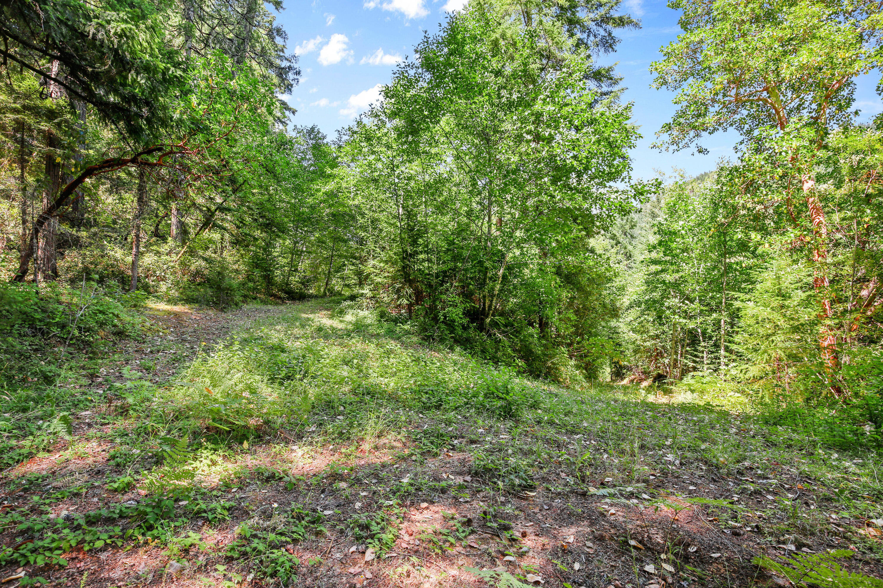 Glendale, Tow NOf Julia - Land