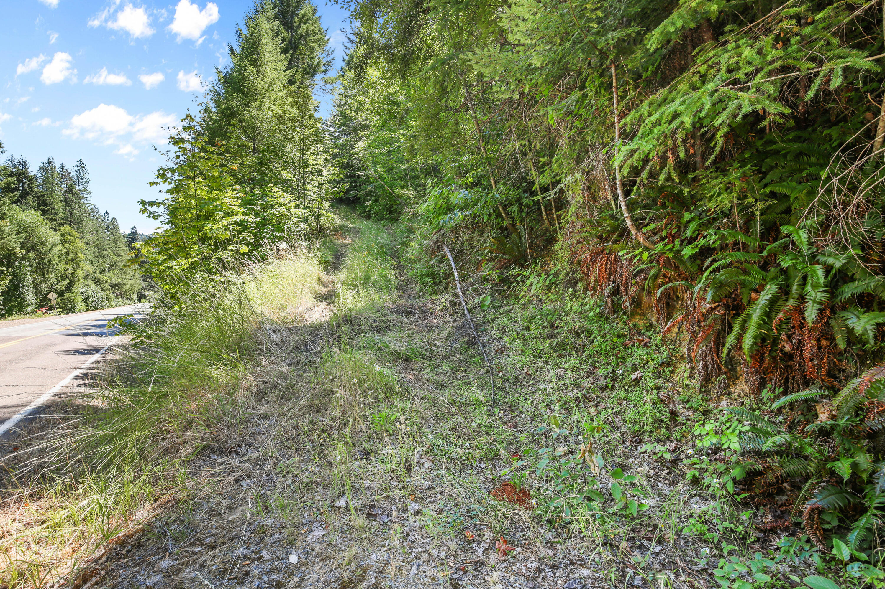 Glendale, Tow NOf Julia - Land