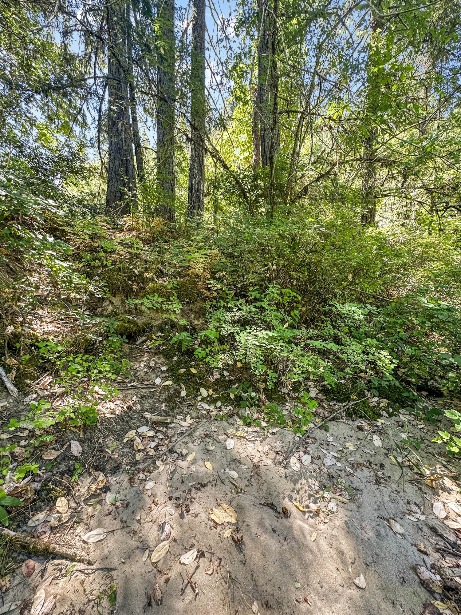 Glendale, Tow NOf Julia - Land