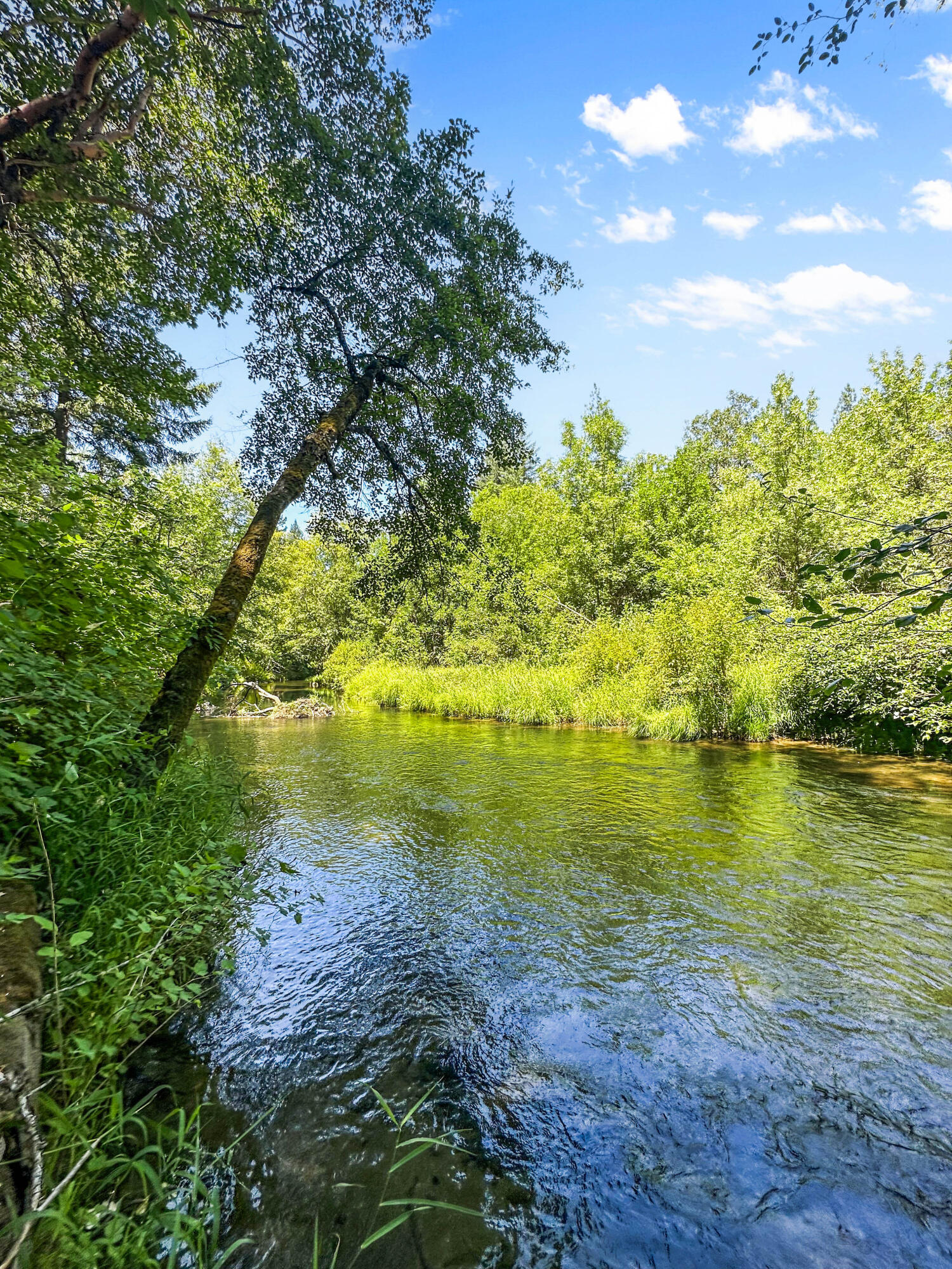 Glendale, Tow NOf Julia - Land