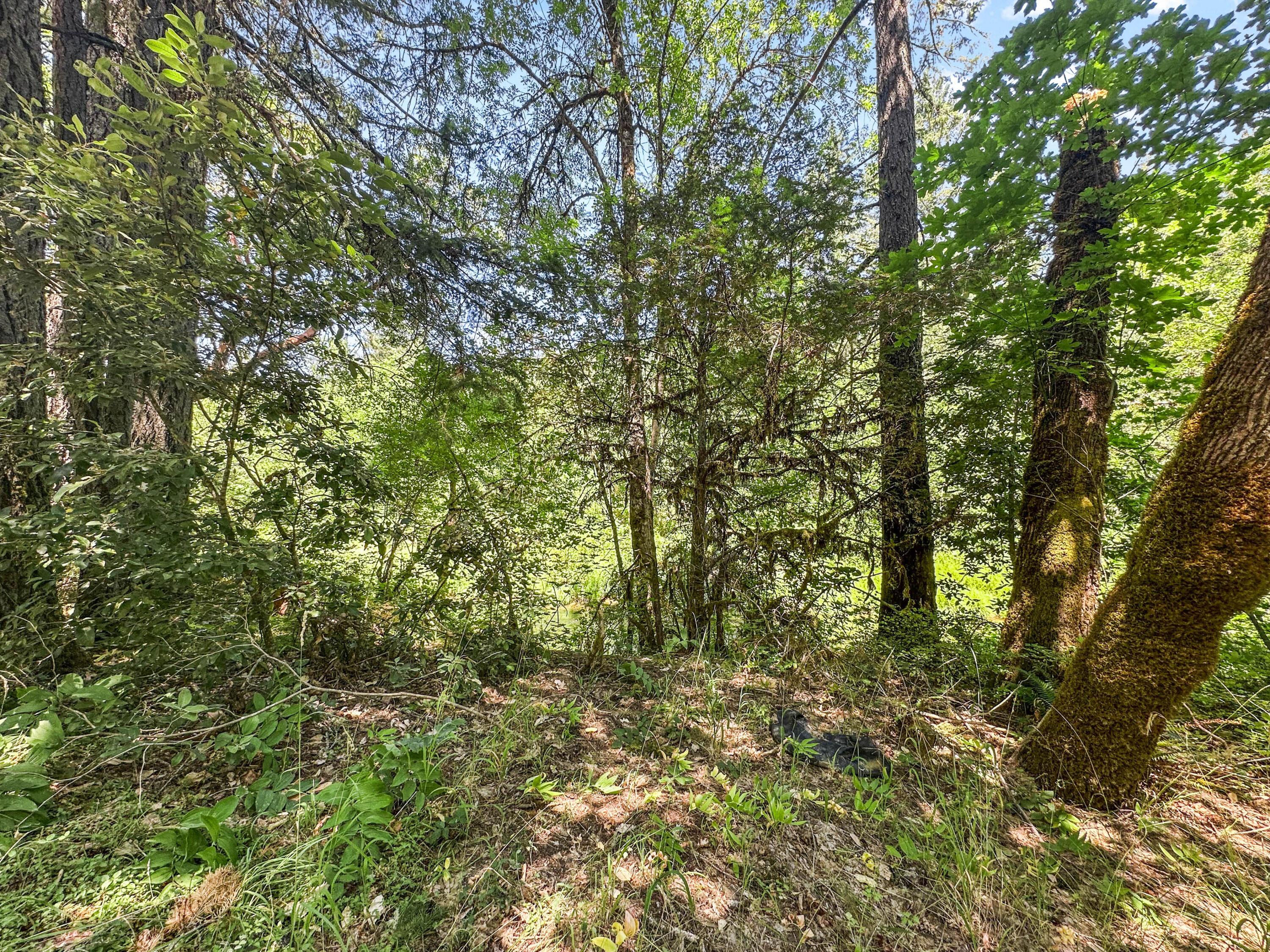 Glendale, Tow NOf Julia - Land