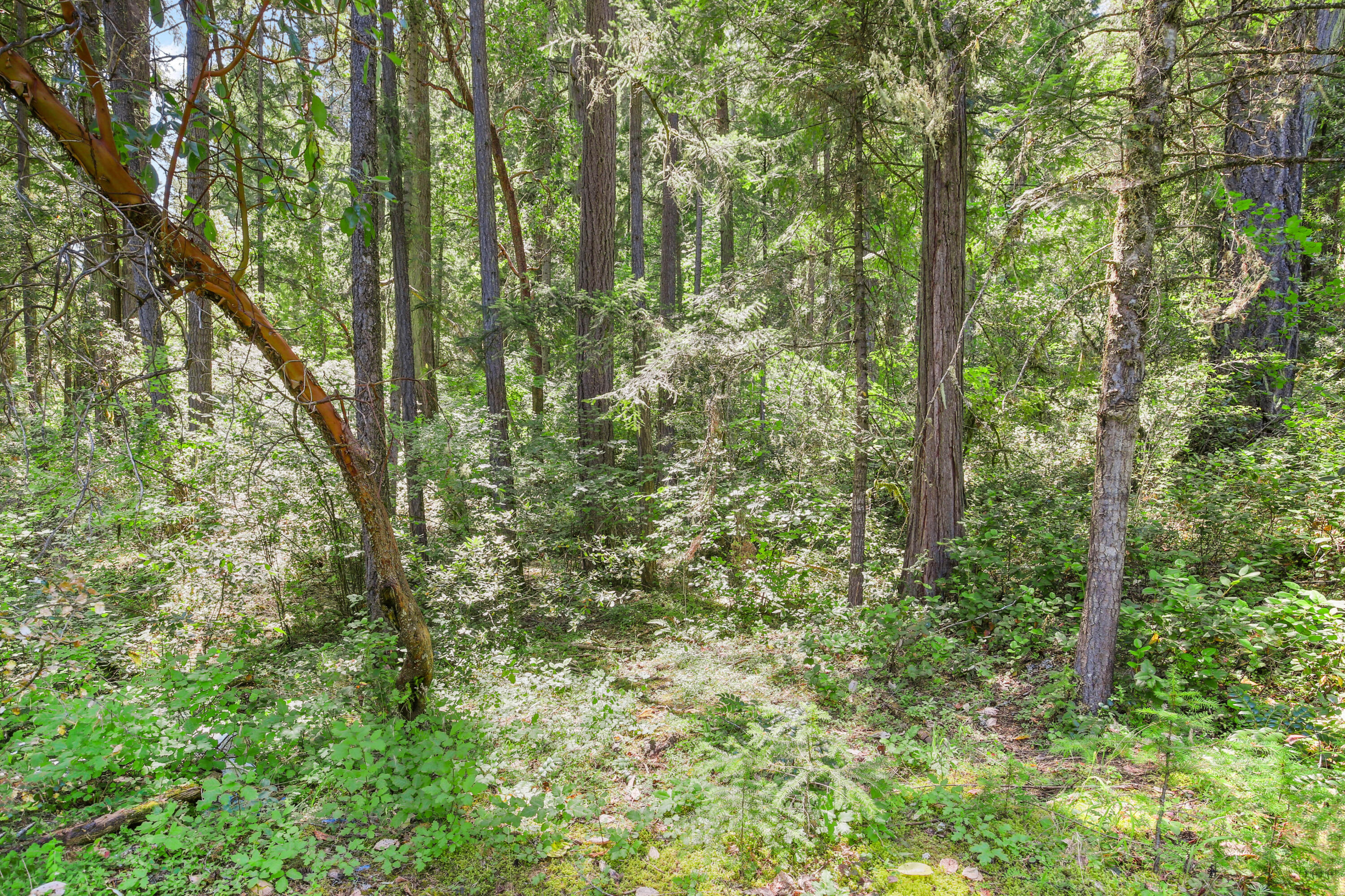 Glendale, Tow NOf Julia - Land