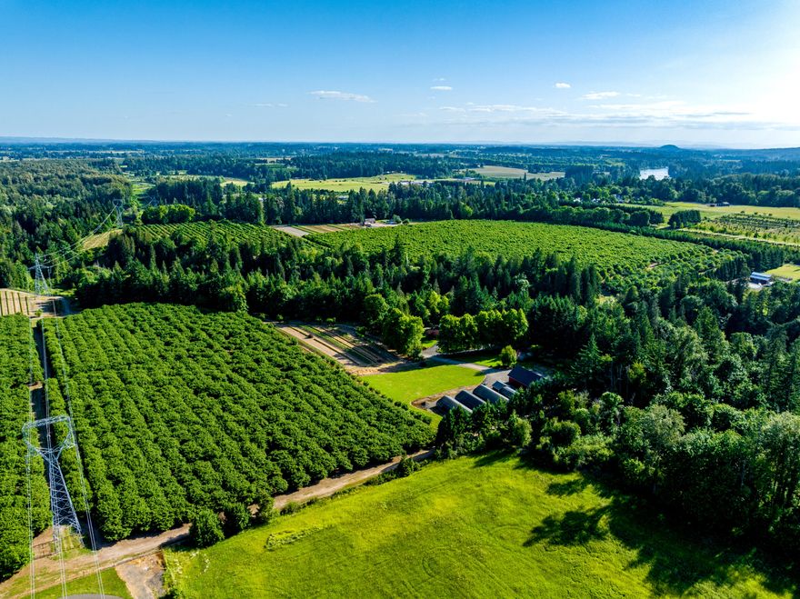 An Exceptionally Secluded 41-Acre Hazelnut/Chestnut Farm You Won't Want to Pass Up! This hidden paradise, surrounded by orchards, and located at the end of an 1,800 ft long driveway is a perfect space for escaping noise of the city. The tillable land is primarily dedicated to producing hazelnut, chestnut, and nursery stock, but can be easily transformed into pasture or row crops. This home is perfect for outdoor entertainment with multi-level patios and decks, ideal for hosting large groups.