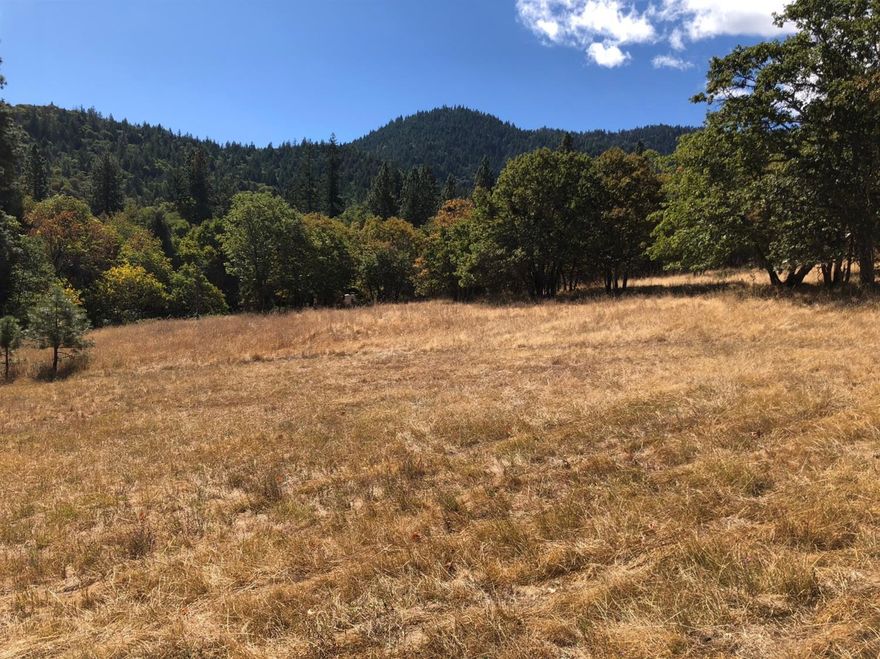 12.8 acres secluded in a natural setting amongst oak and pines, with open clearing for home to build. Lot #3 in Thompson Park Subdivision, a neighborhood of fine homes. Clayton creek runs seasonally through the property, just south of the opening, crossing under a private driveway. A soil test for septic has been done. Mountain Views abound. Minutes from downtown Ashland and shopping. Shares a private driveway from Windemar.