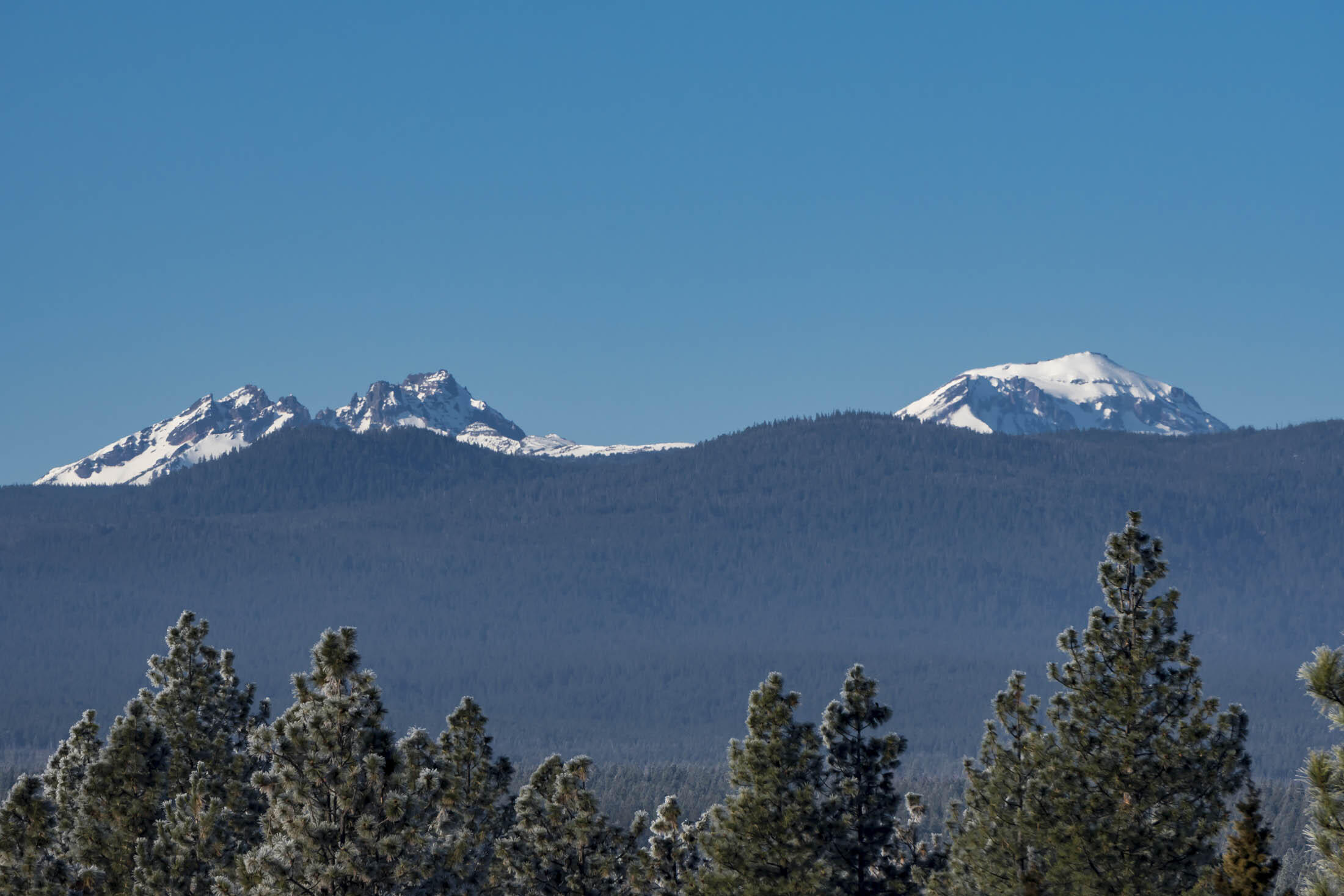 Shevlin Estates - Residential