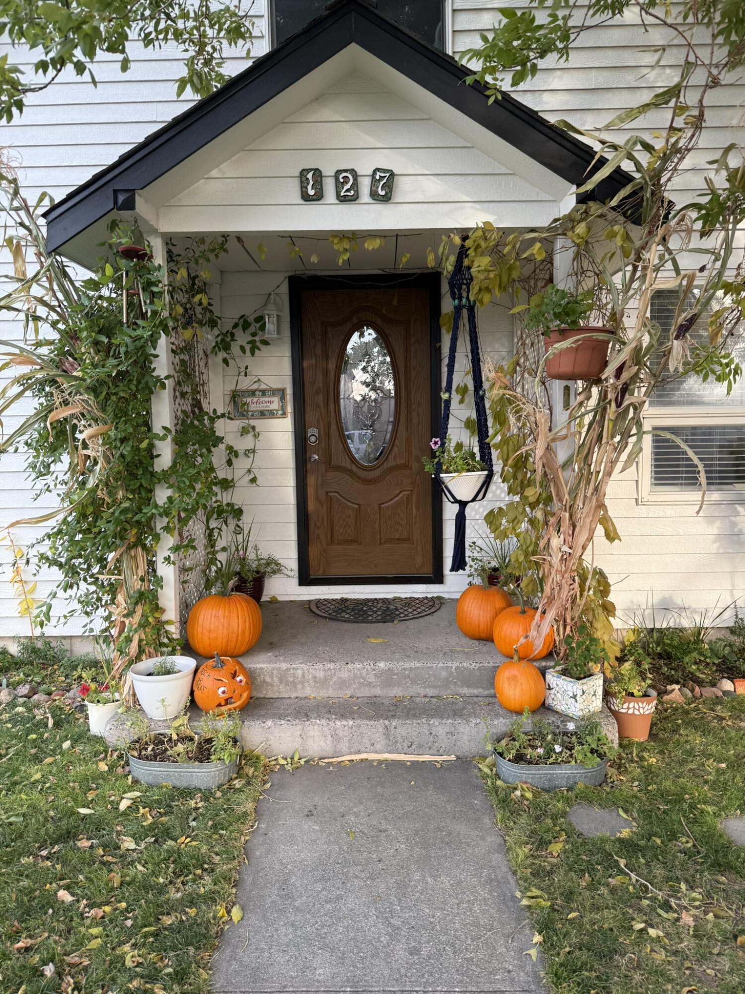 Palmain - Residential