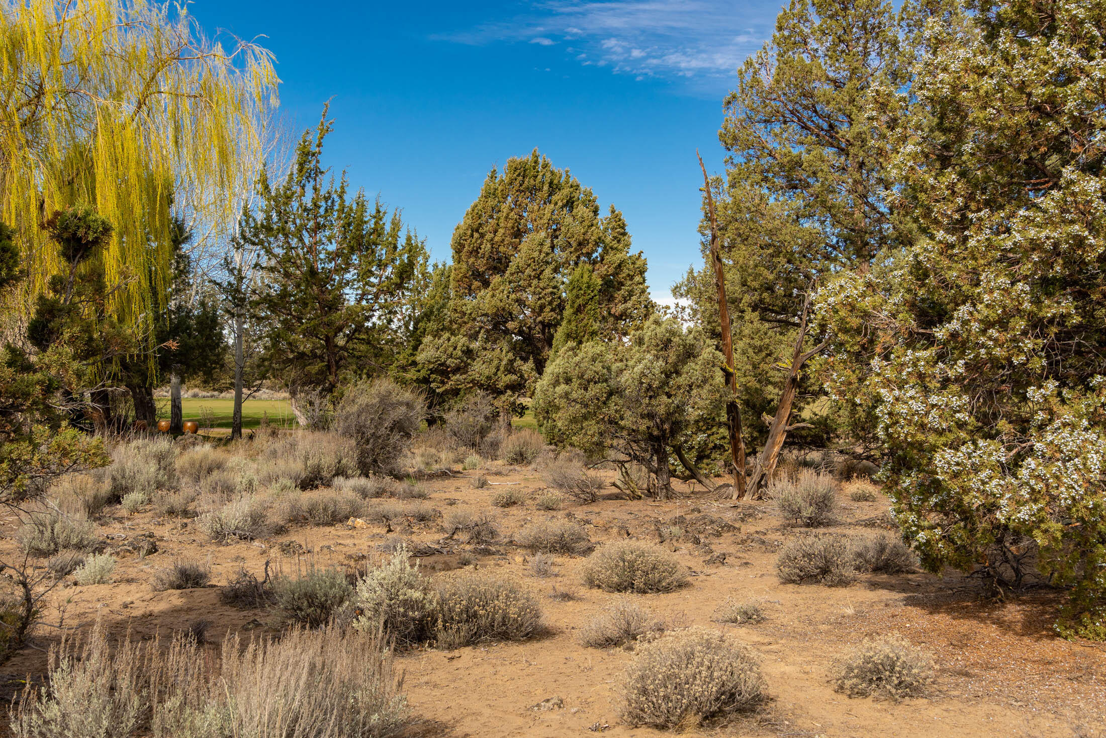 65833 Bearing Drive Lot 130