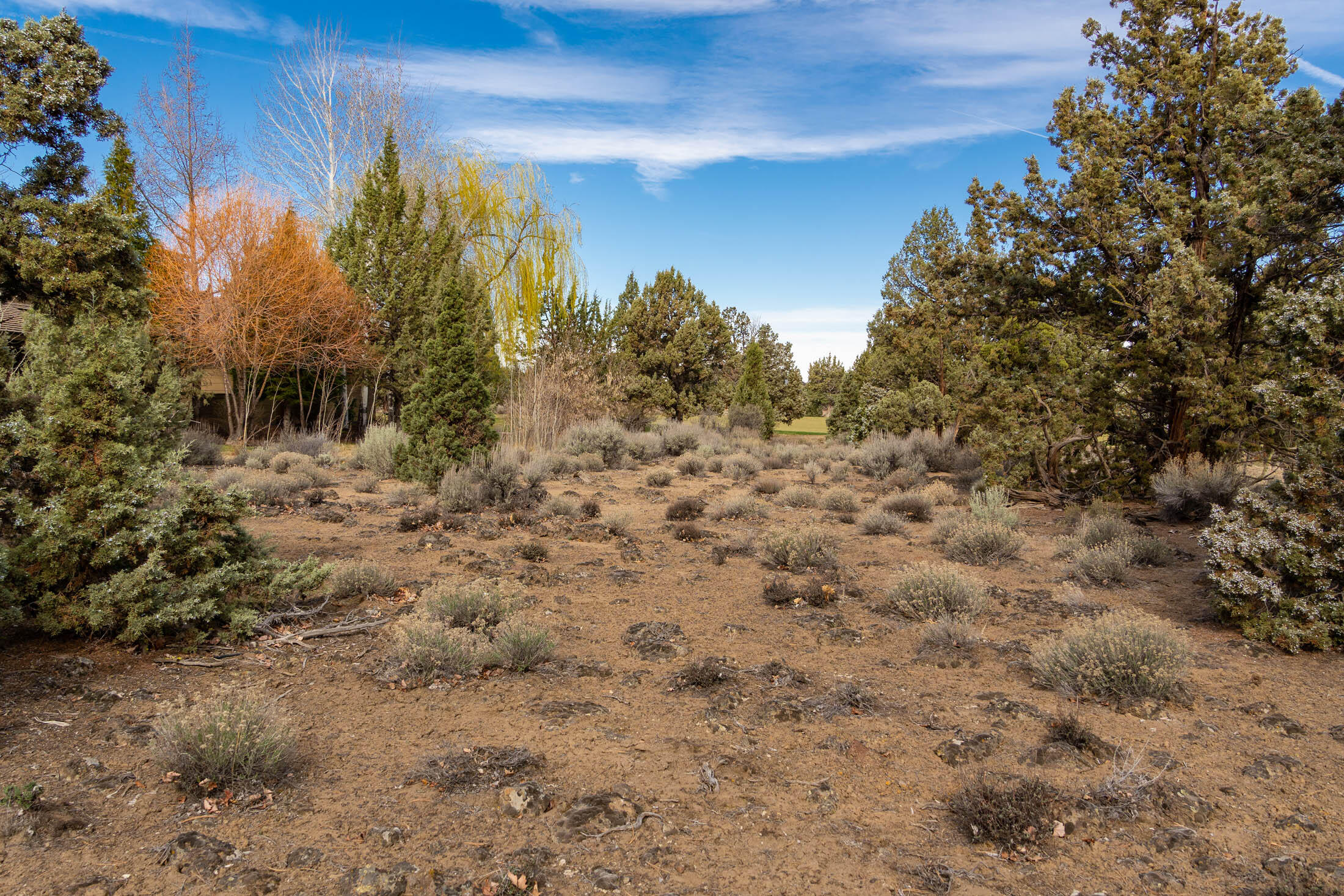 65833 Bearing Drive Lot 130