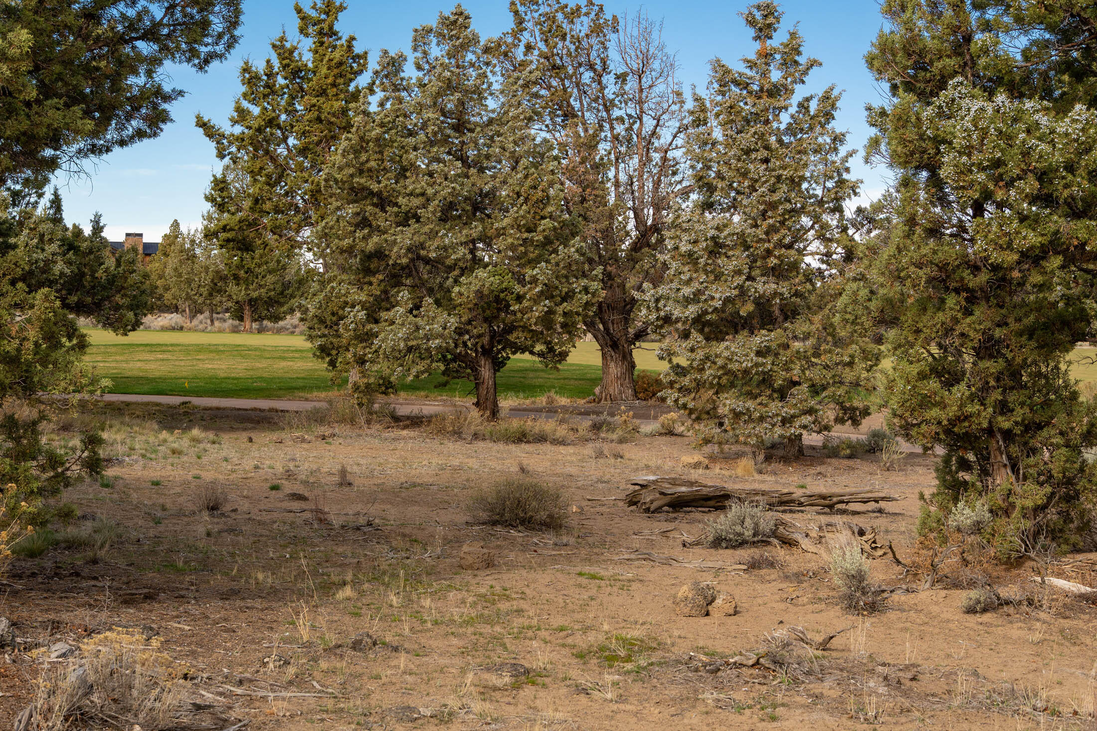 65833 Bearing Drive Lot 130