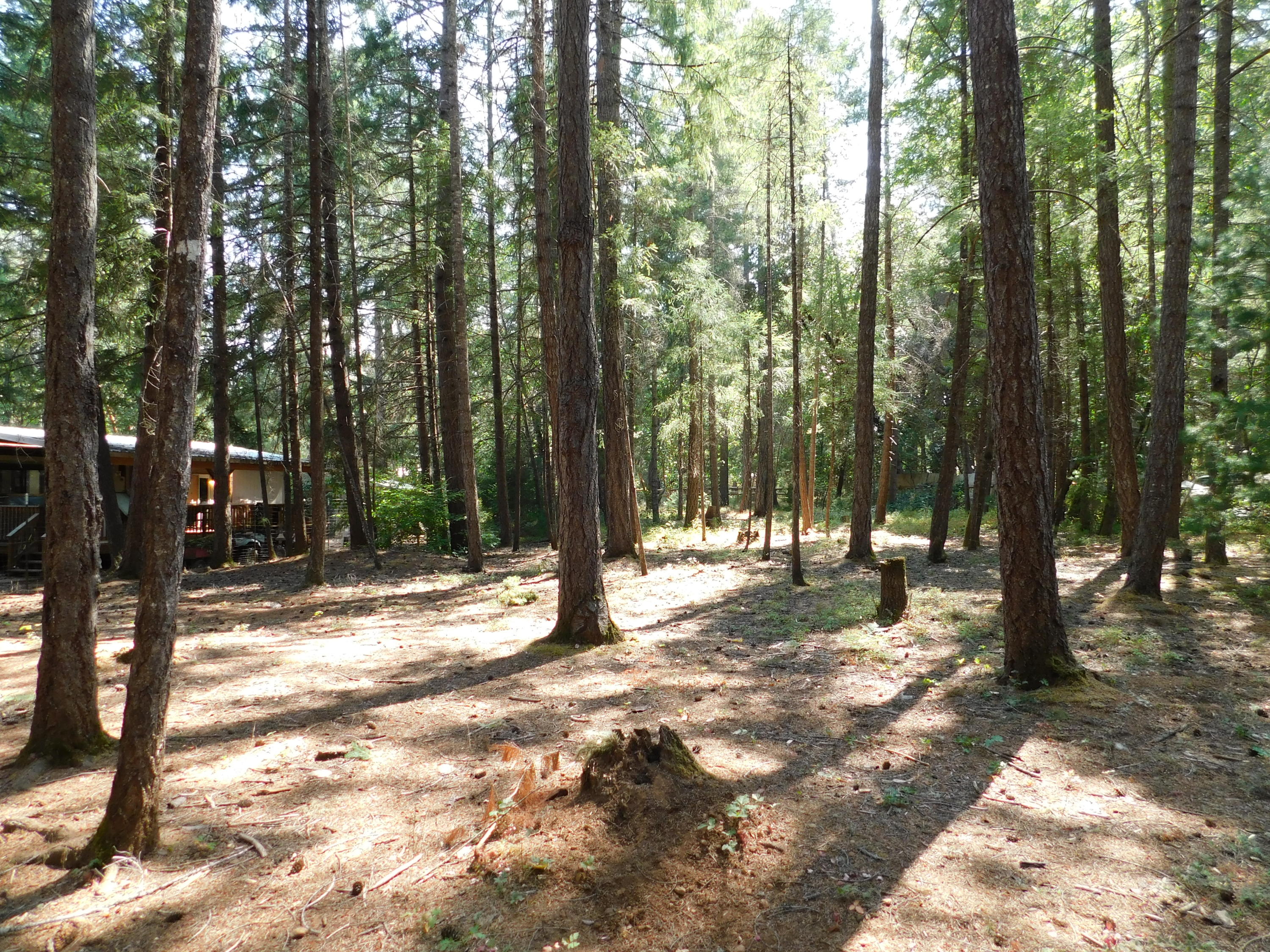 Marcy Loop Estates - Residential