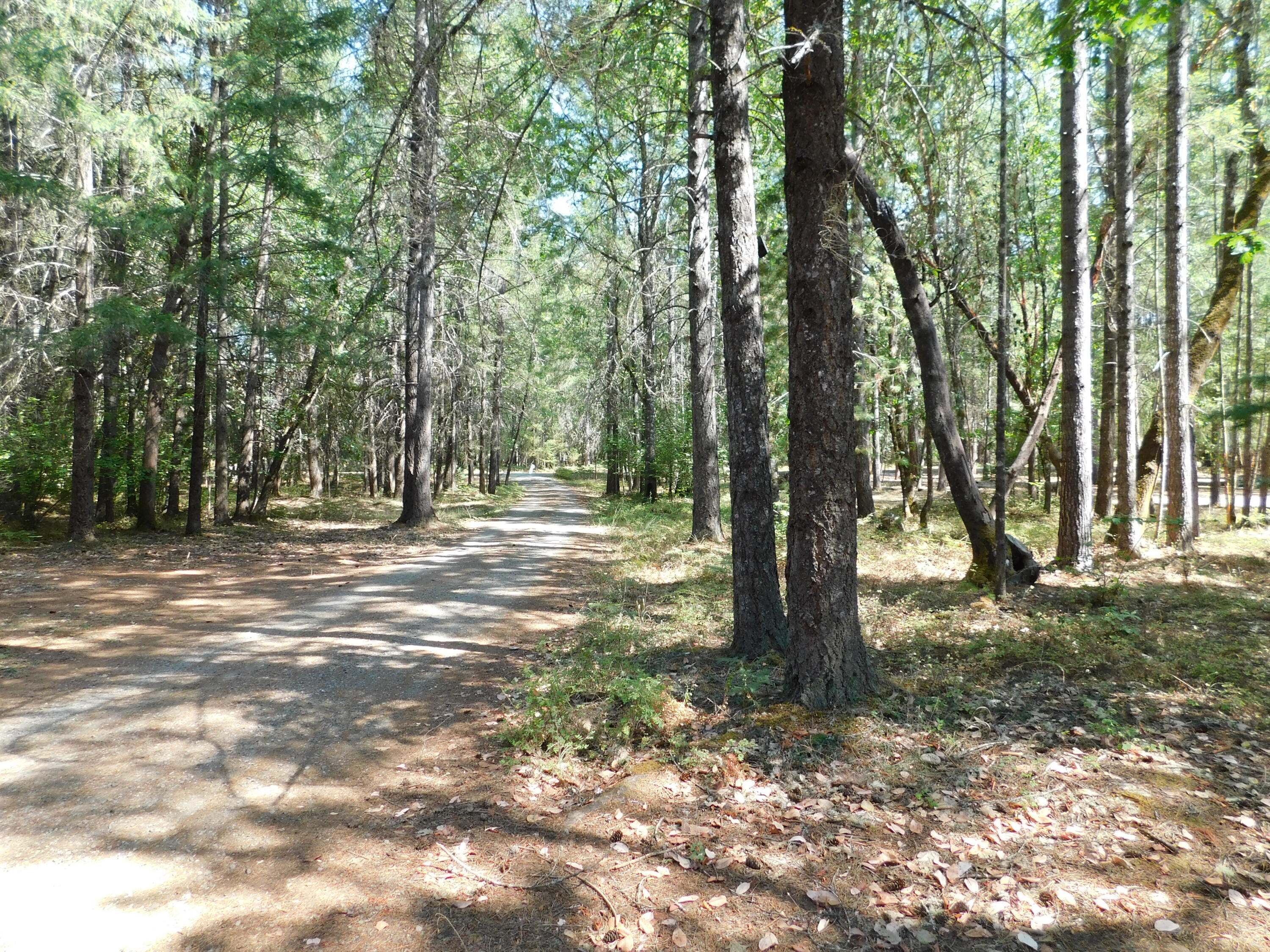 Marcy Loop Estates - Residential