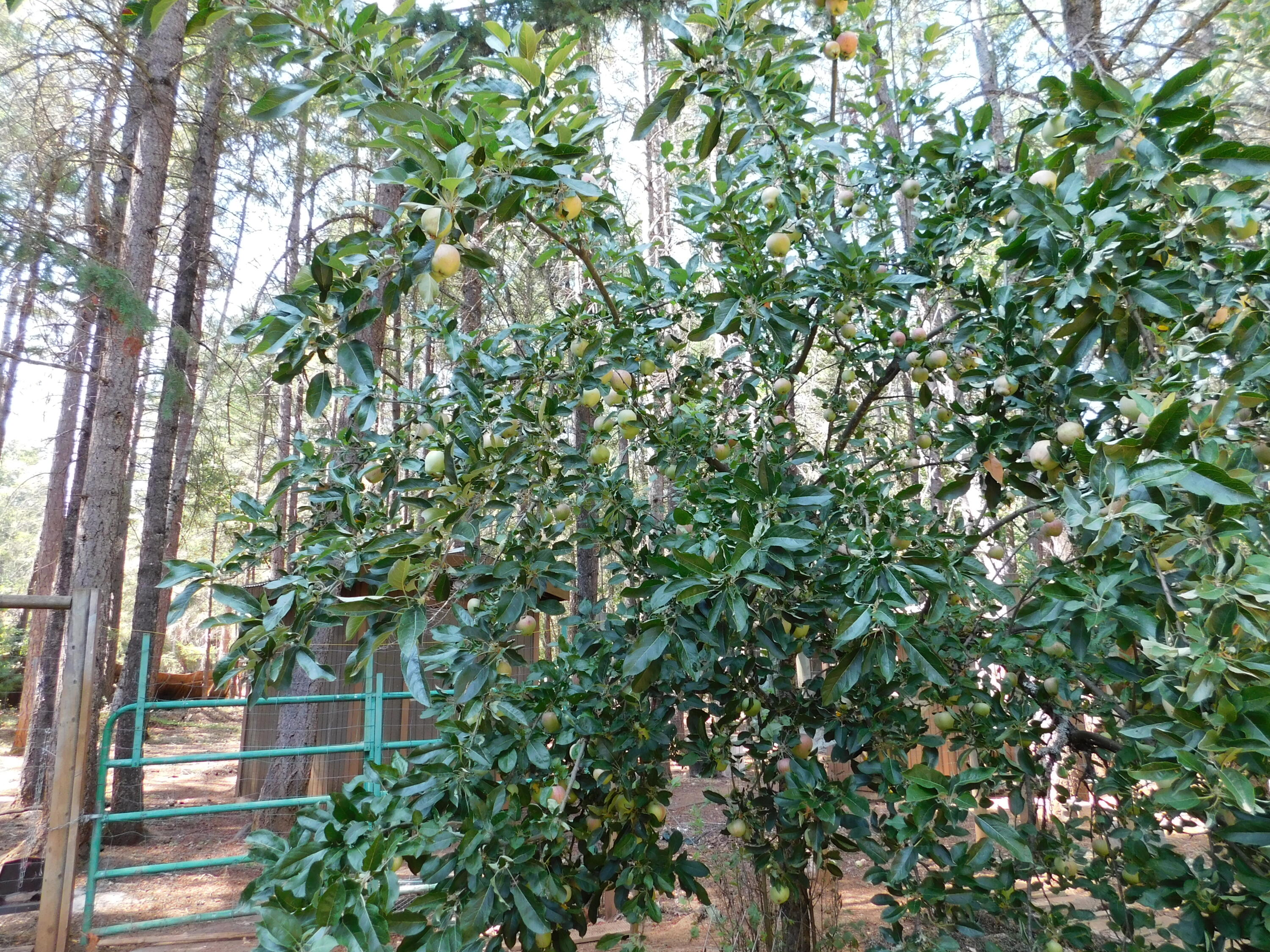 Marcy Loop Estates - Residential