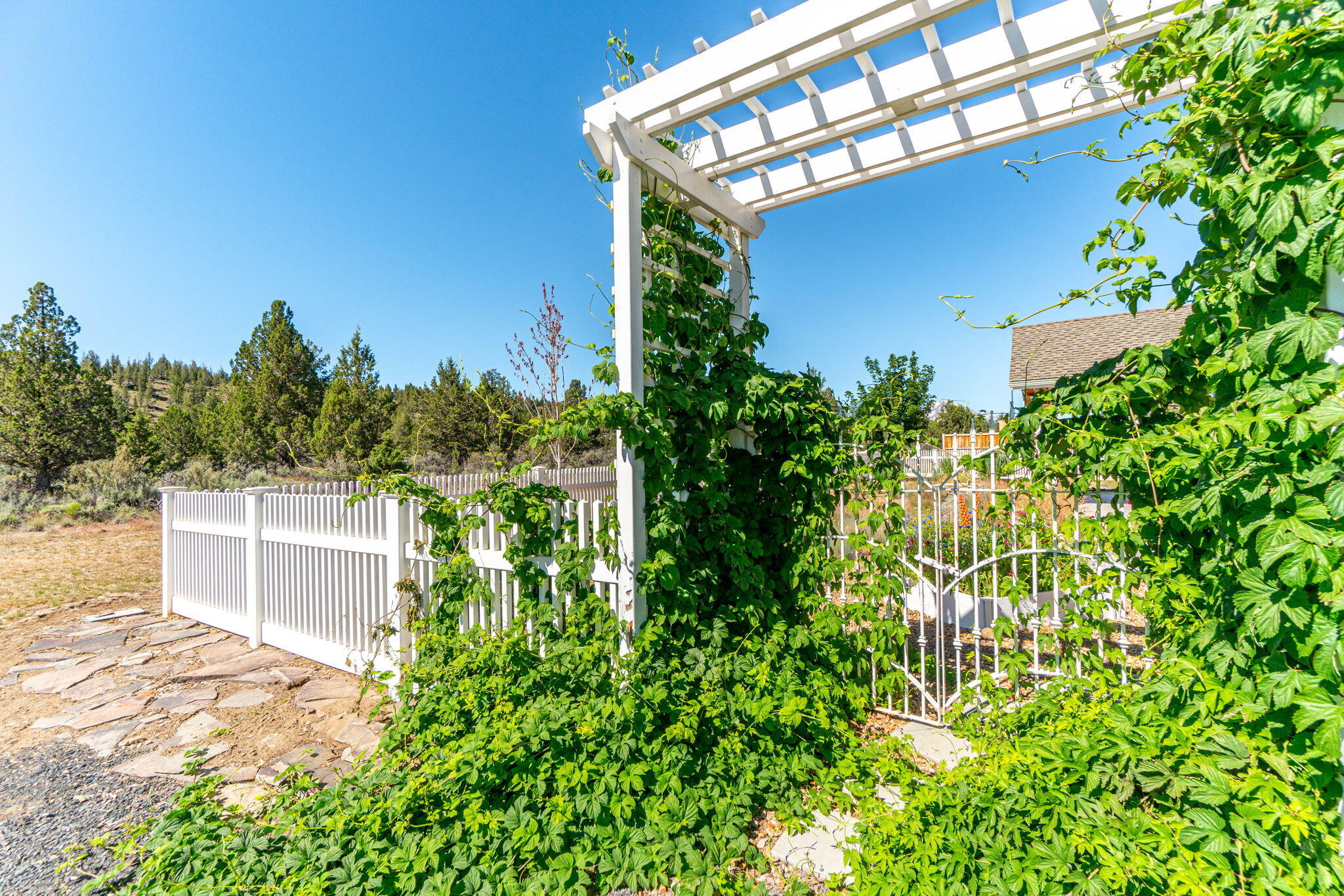 Ponderosa Cascade - Residential