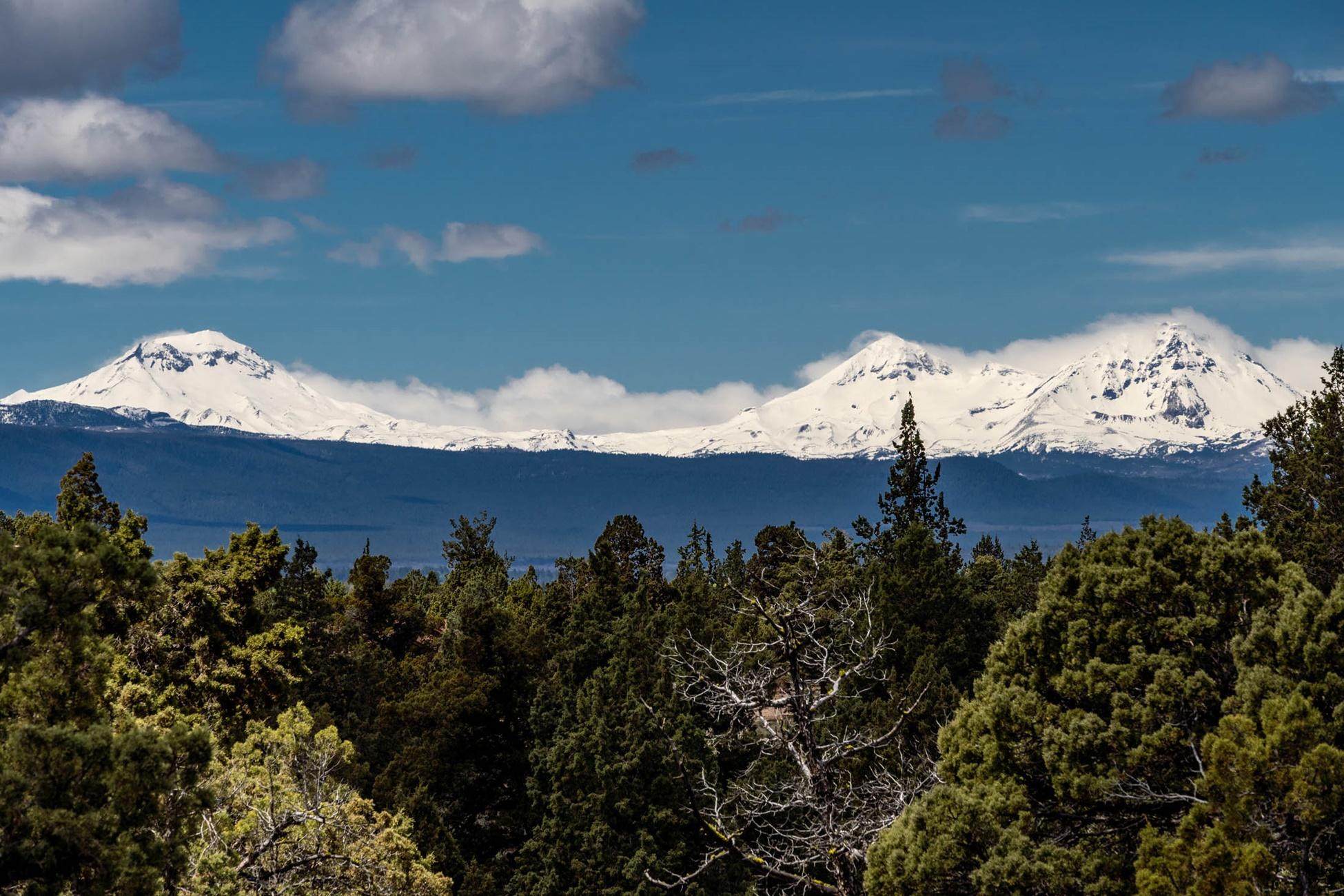 Boonesborough - Residential