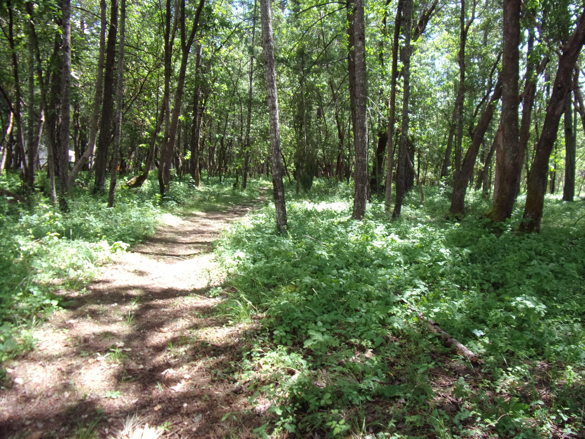 02409 Smokey Lane