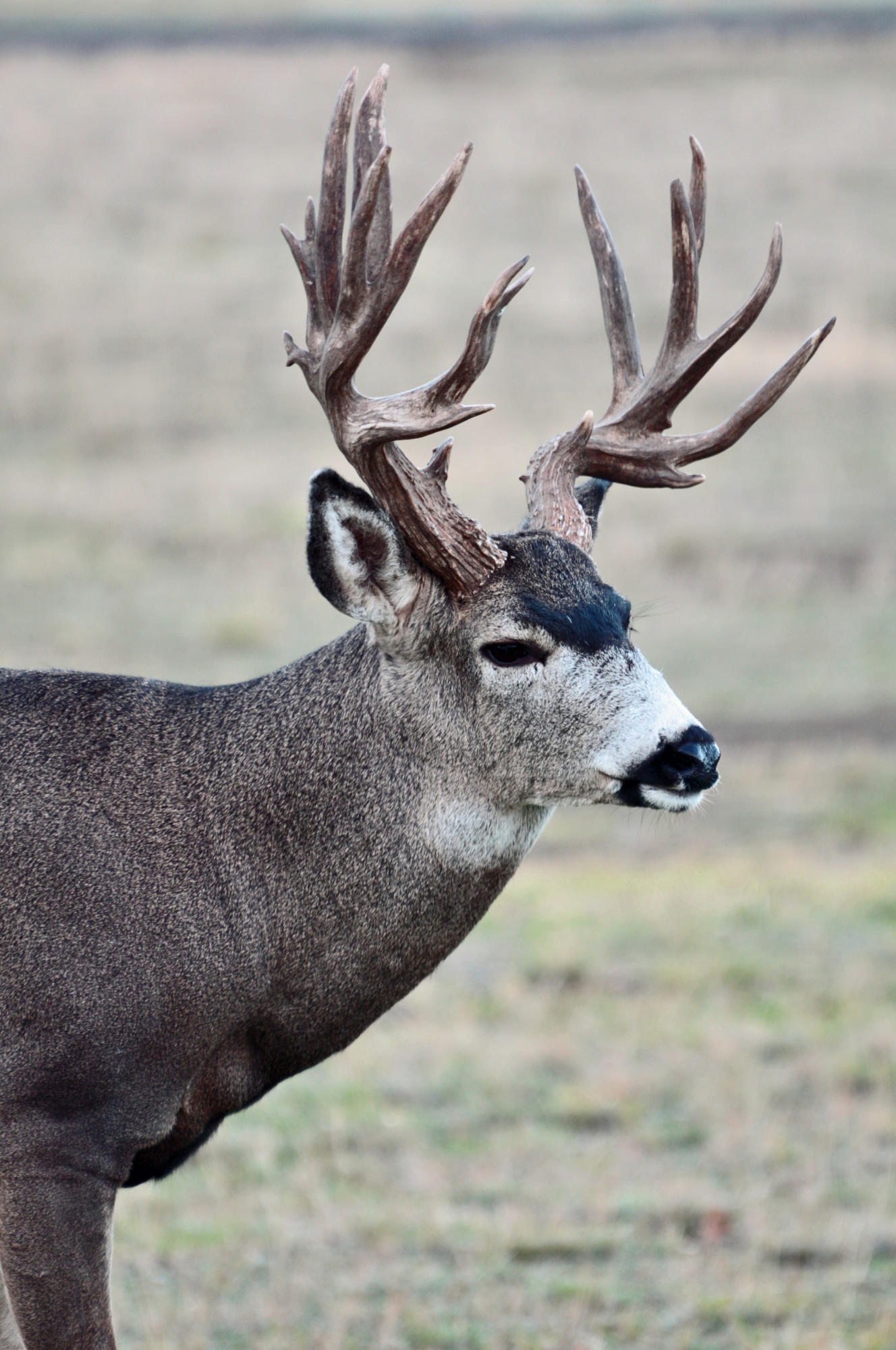 Crr10_C - Residential