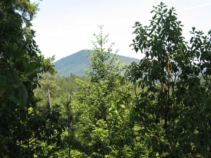Amazing Mt. Sexton views. This buildable 5 acre, zoned RR5 lot was originally reserved for the developer and his family. The current owners drilled a well in April of 2016 and when drilled the air test came in at 7GPM. This lot is sloping but not mountainous and ready for you to come enjoy a piece of Oregon.
