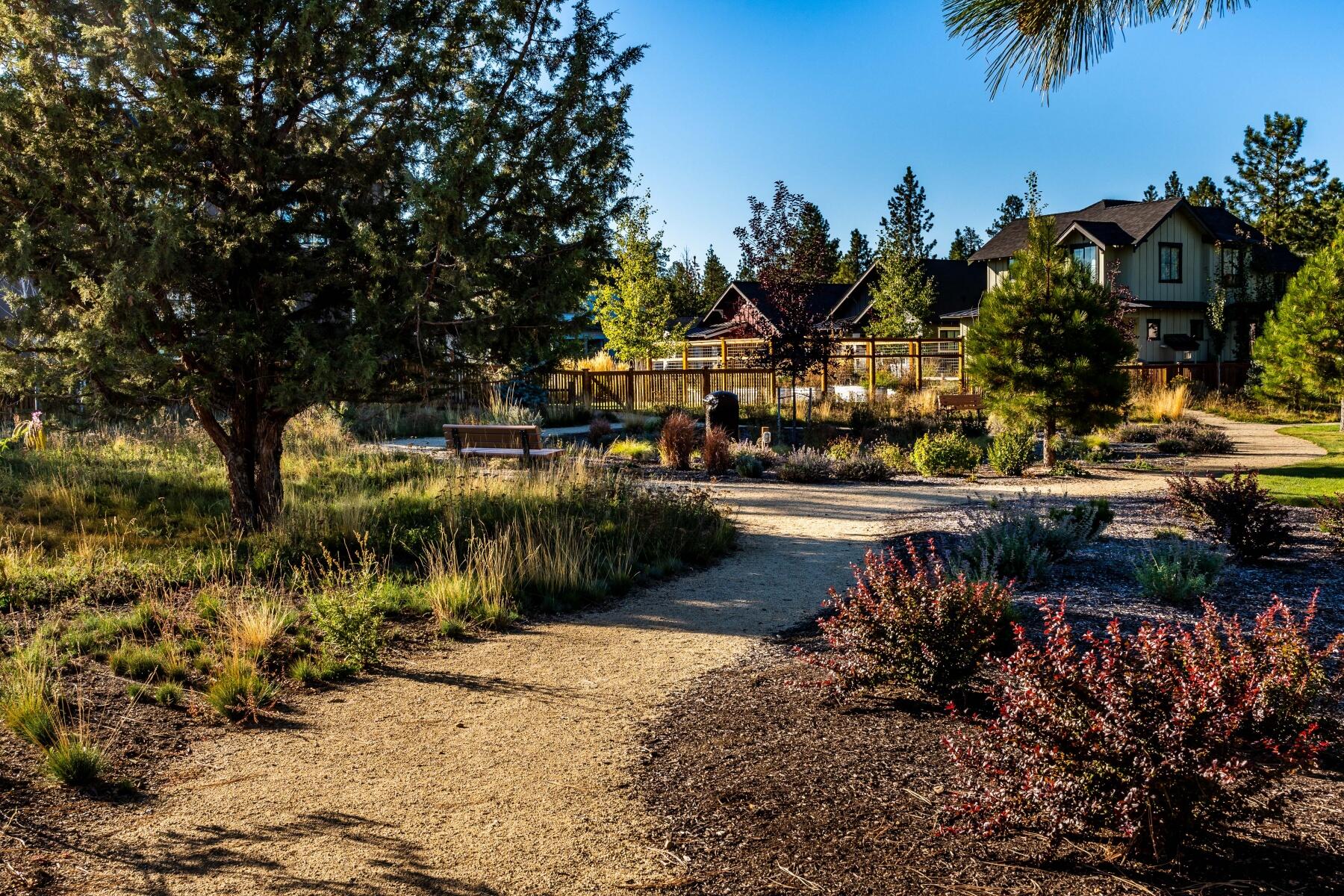 Clearpine - Residential