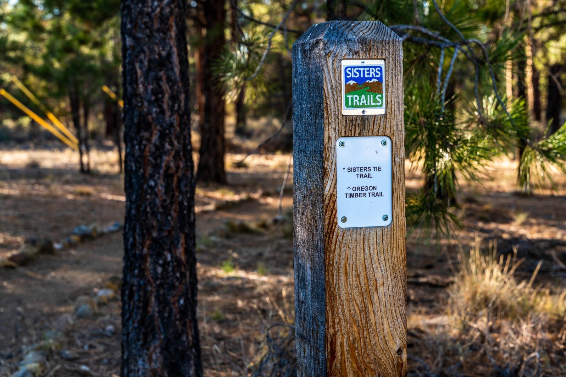 Clearpine - Residential