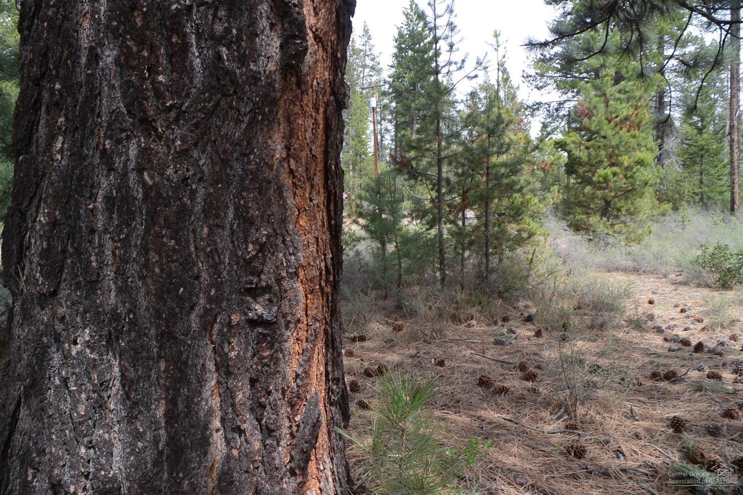 Cl+D Ranch Tracts - Land