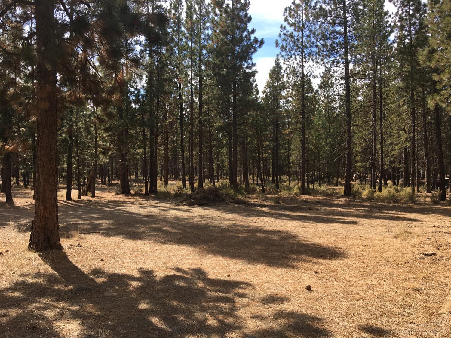 Wagon Trail North - Residential