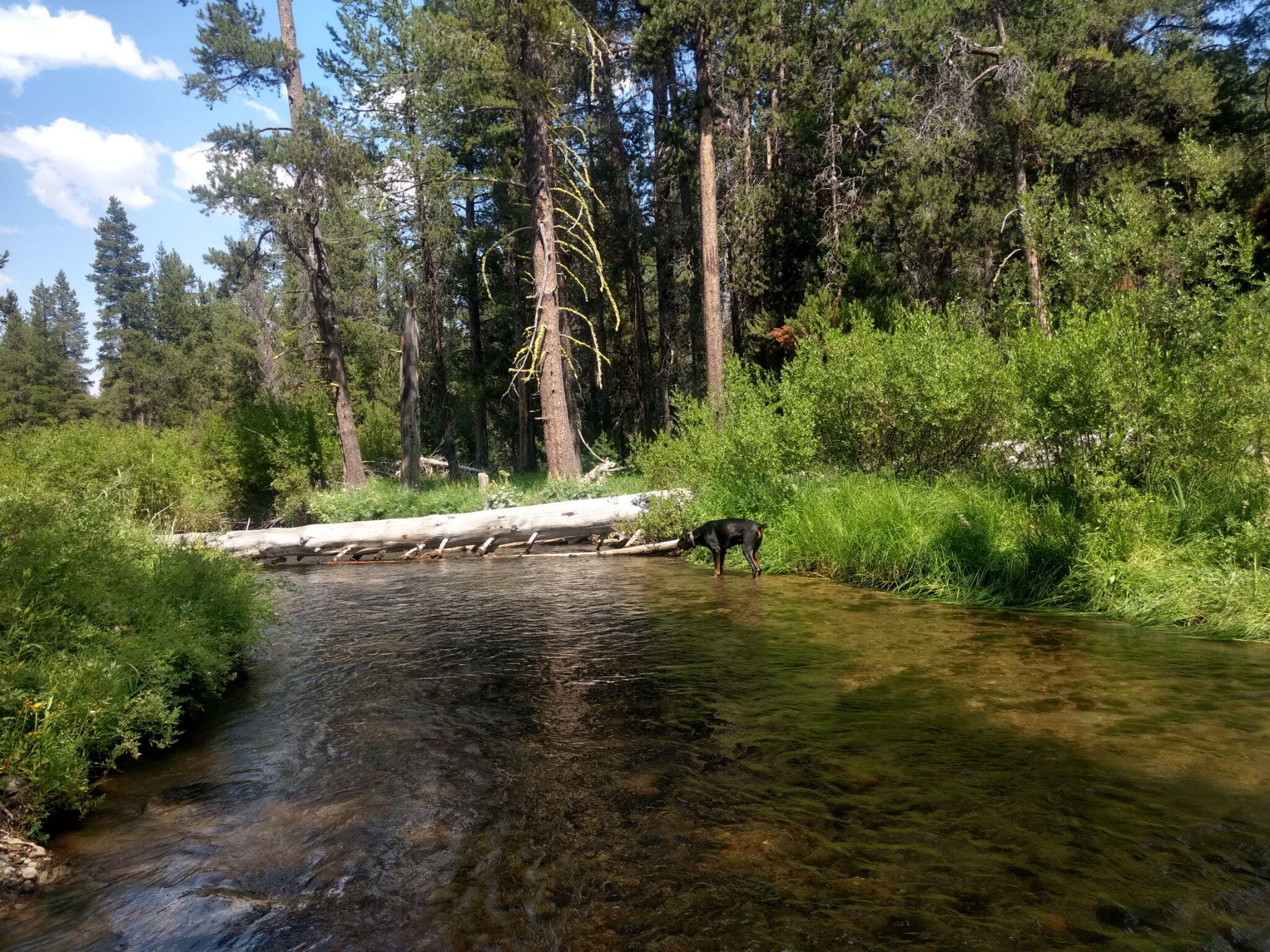 Two Rivers North - Residential