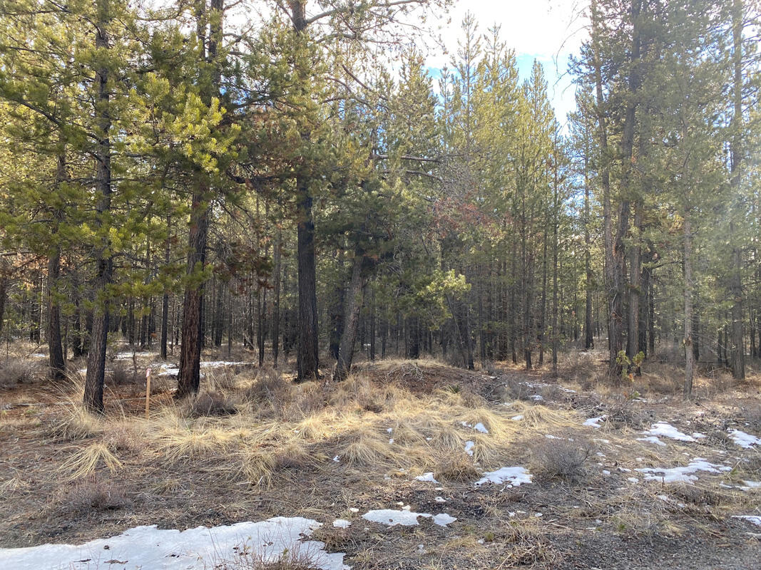 Pinewood Country Est - Land