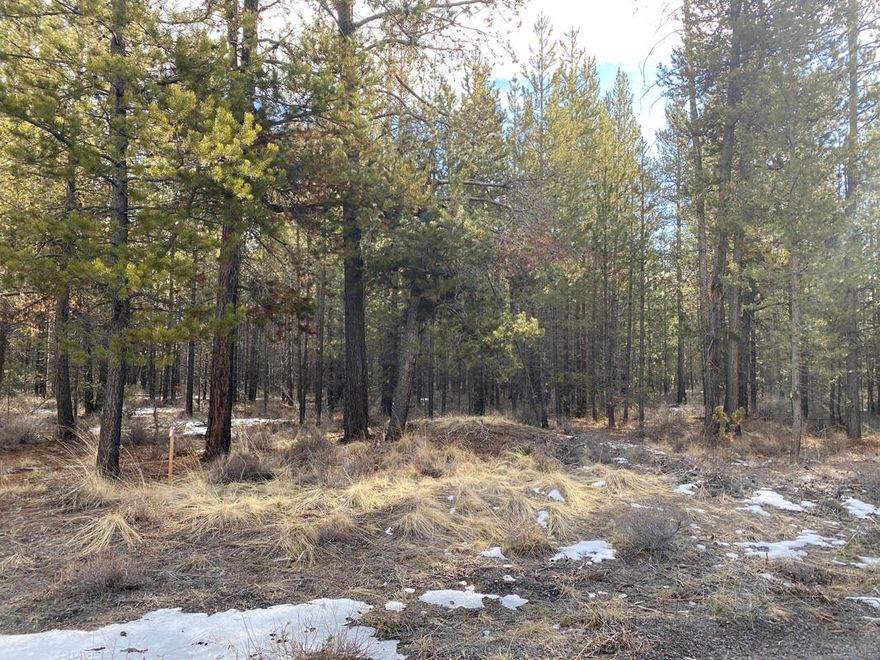 Imagine having room to roam but only being 25 miles from Mt. Bachelor, Bend, Cascade High Lakes and just minutes to Sunriver. 13.26 acres of flat land with mature Ponderosa pine trees and Jackpines. This is a buildable lot ready for you to design your dream home, horse & llama friendly properties. Pinewood Country Estates is an area of 10 plus area lots. Bring your building plans.