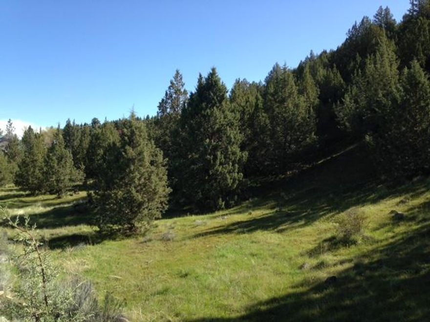 View of the Canyon City hills and valley from this property.  Located on a paved street within the city limits of Canyon City, OR.  Two separate tax lots for a total of 9.61 acres. Lot corners are marked and flagged.  City water and sewer are located at the street,  Several possible building sites.  Zoned residential to allow you to build yourself a new home or add a manufactured home.  Seller will carry a contract with 20% down and 6% interest. Seller is a licensed Real Estate Broker in the State of Oregon.