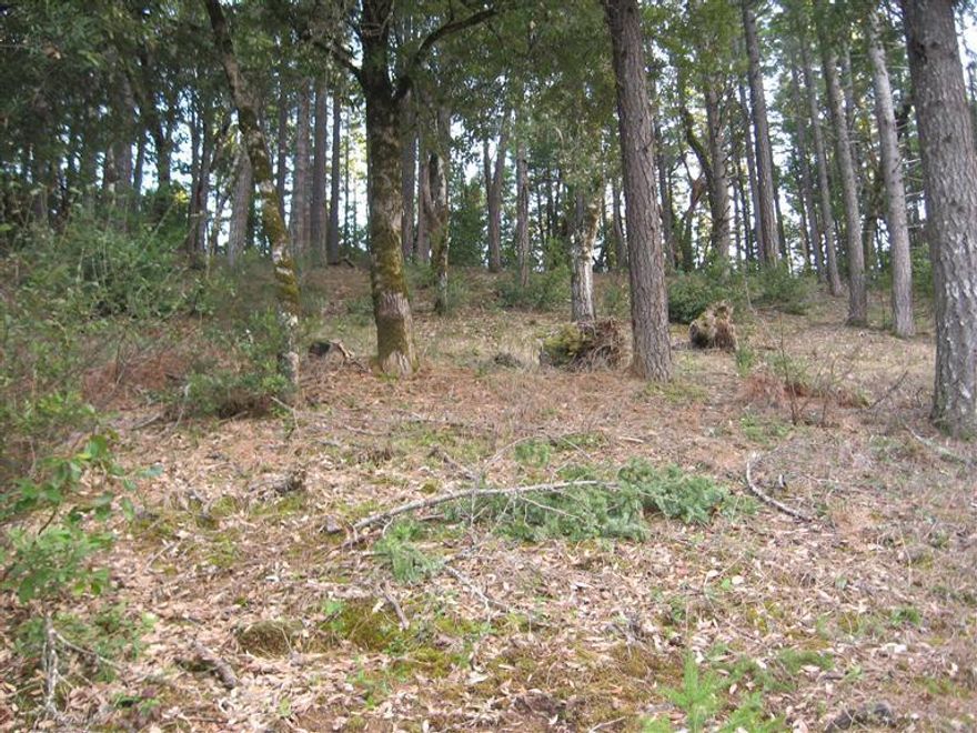 Building lot located in a small subdivision. Beautiful view of the surrounding mountains from a top of this hillside lot. Newer home (last few years) was just completed next door. Electric and water to the property line. Buyer to do own due diligence regarding sewer hook up. Amazing price for this size lot with most city services to lot.