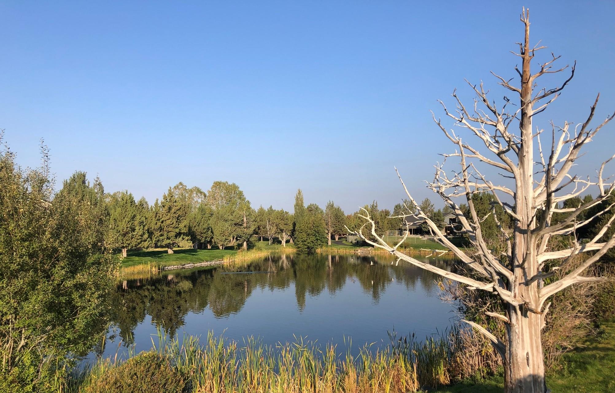 Eagle Crest - Residential