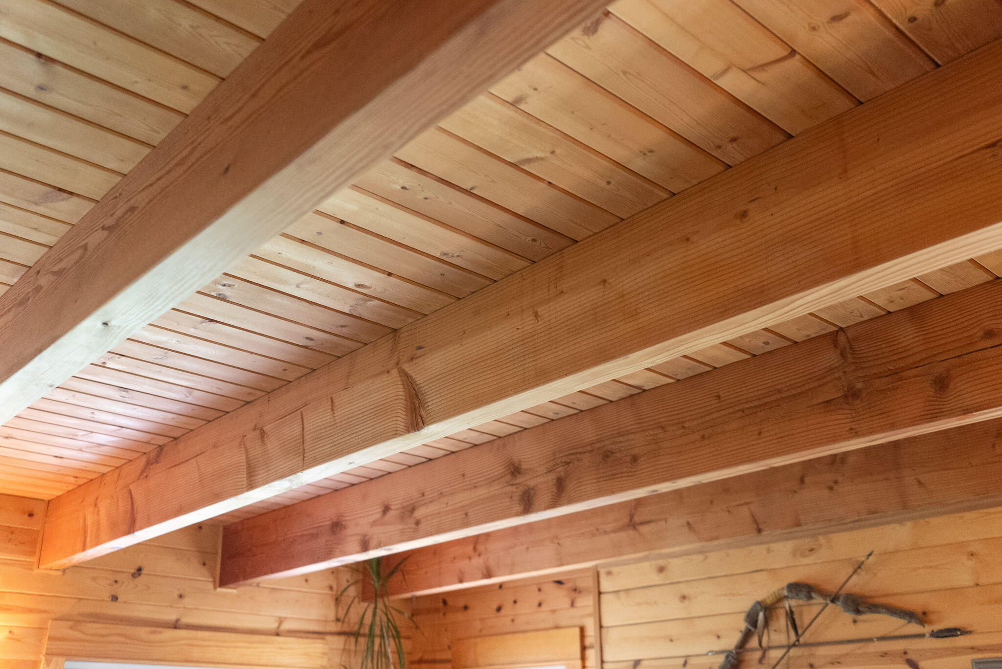 Summerlane - Residential