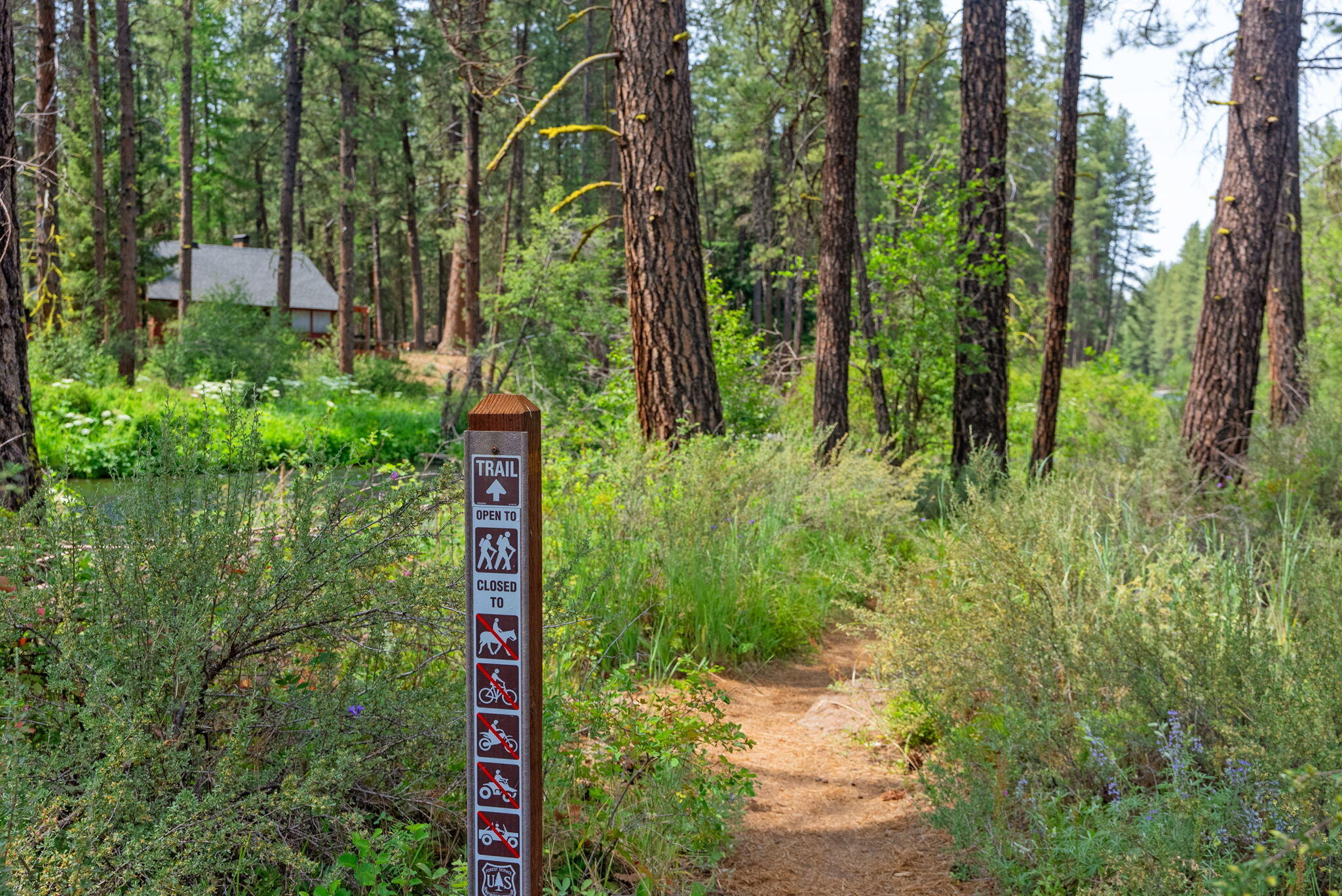 Summerlane - Residential