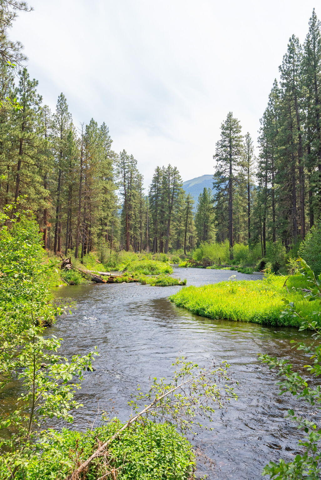 Summerlane - Residential