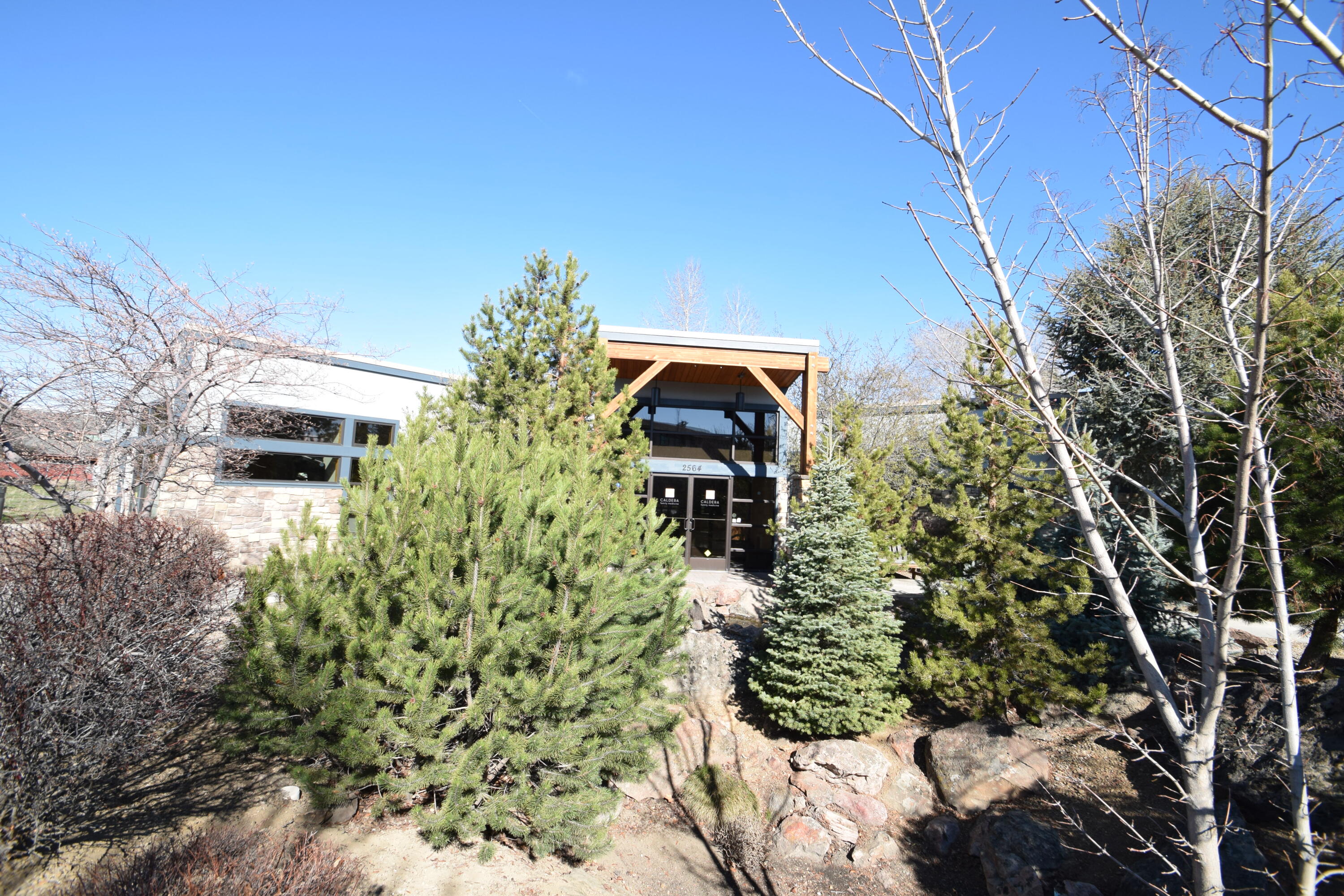 Woodlands - Commercial Sale