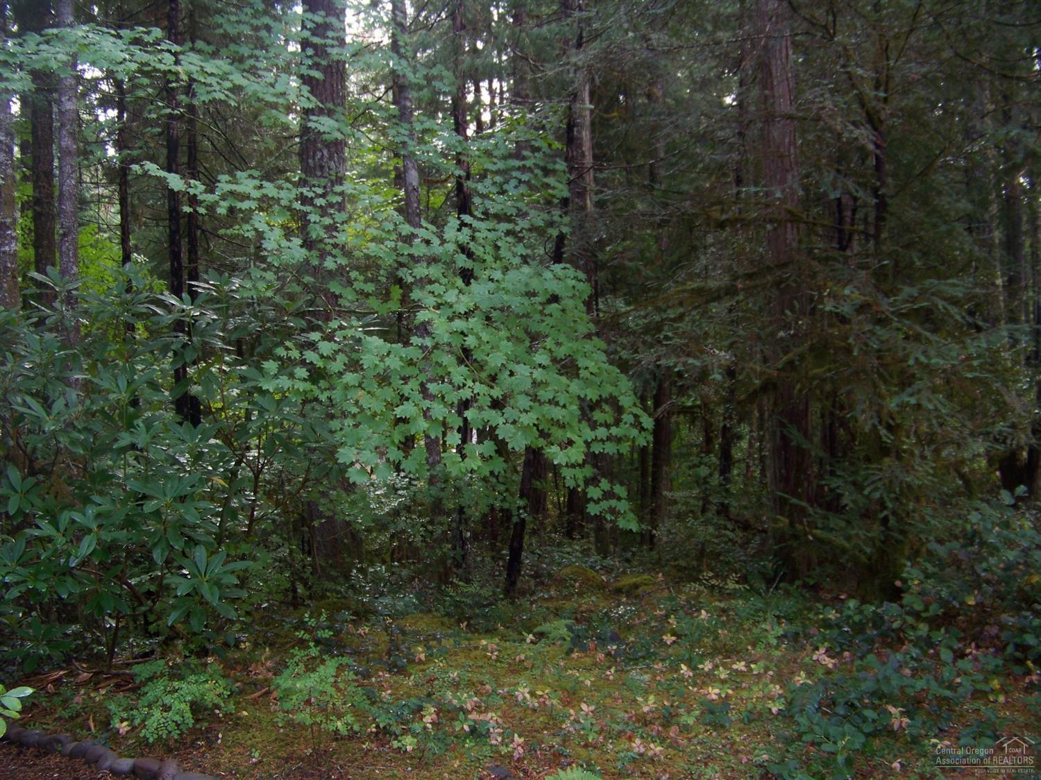 N/A - Commercial Sale