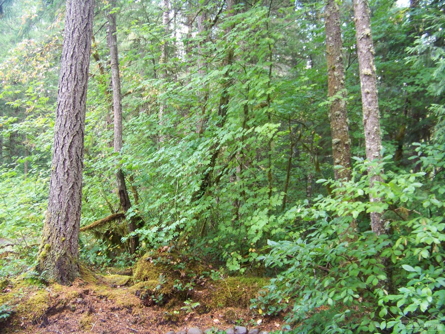 N/A - Commercial Sale