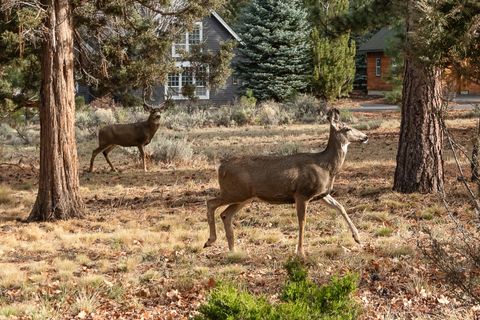 Tiny photo for 693 E Tyler Avenue, Sisters, OR 97759 (MLS # 220214108)